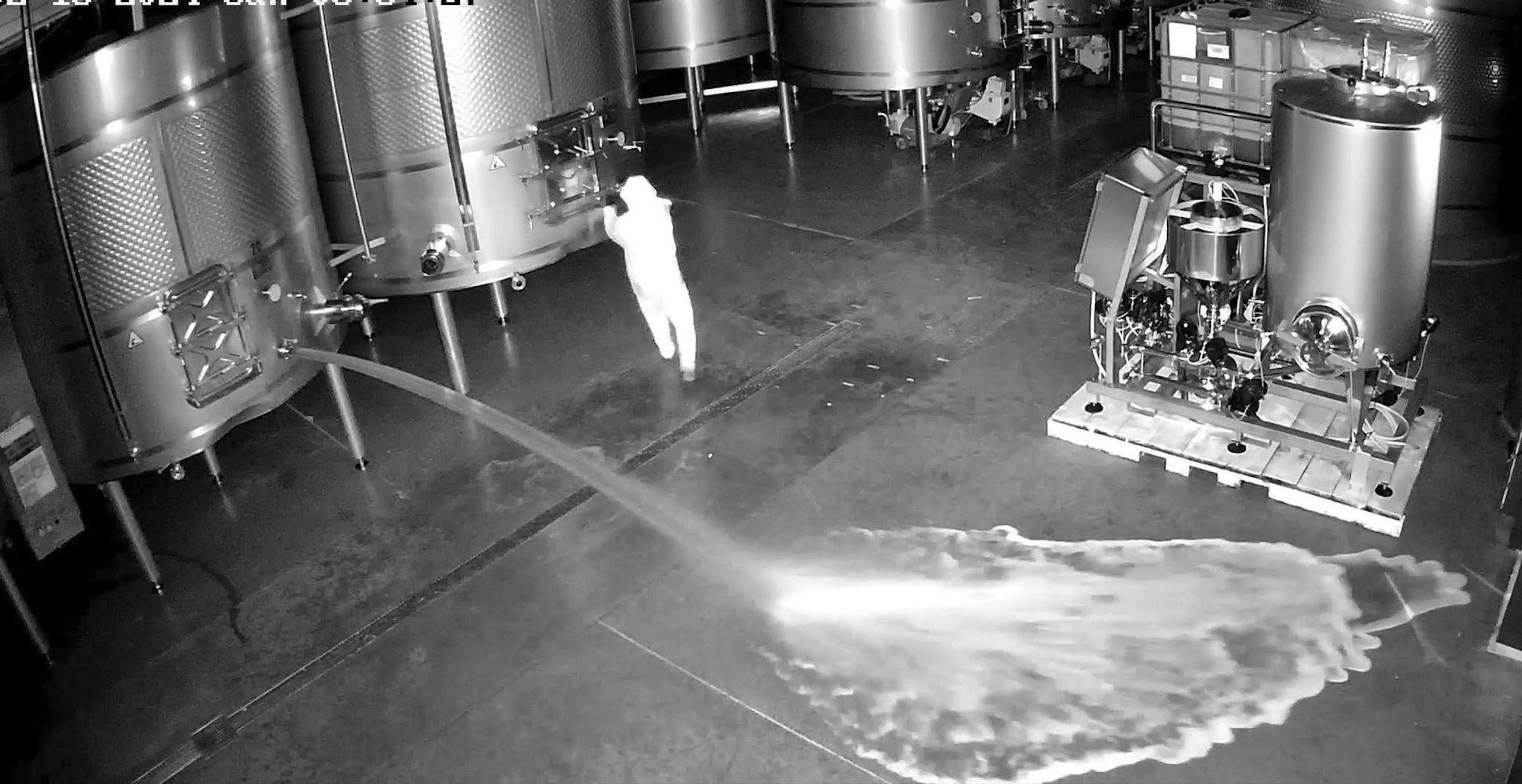 Security camera footage: wine is spilled in the storage room of the Cepa 21 winery.