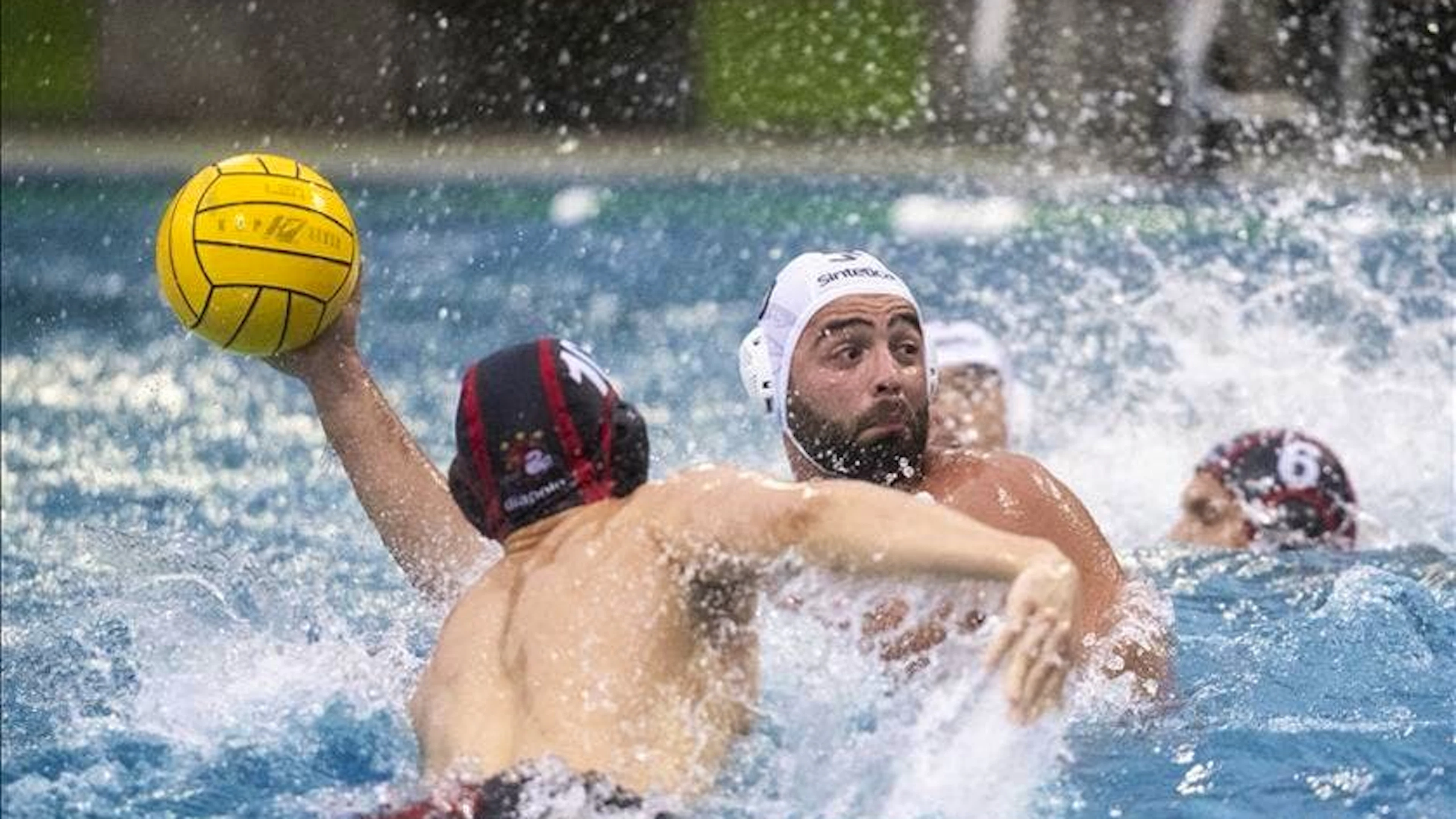 Lugano Sharks