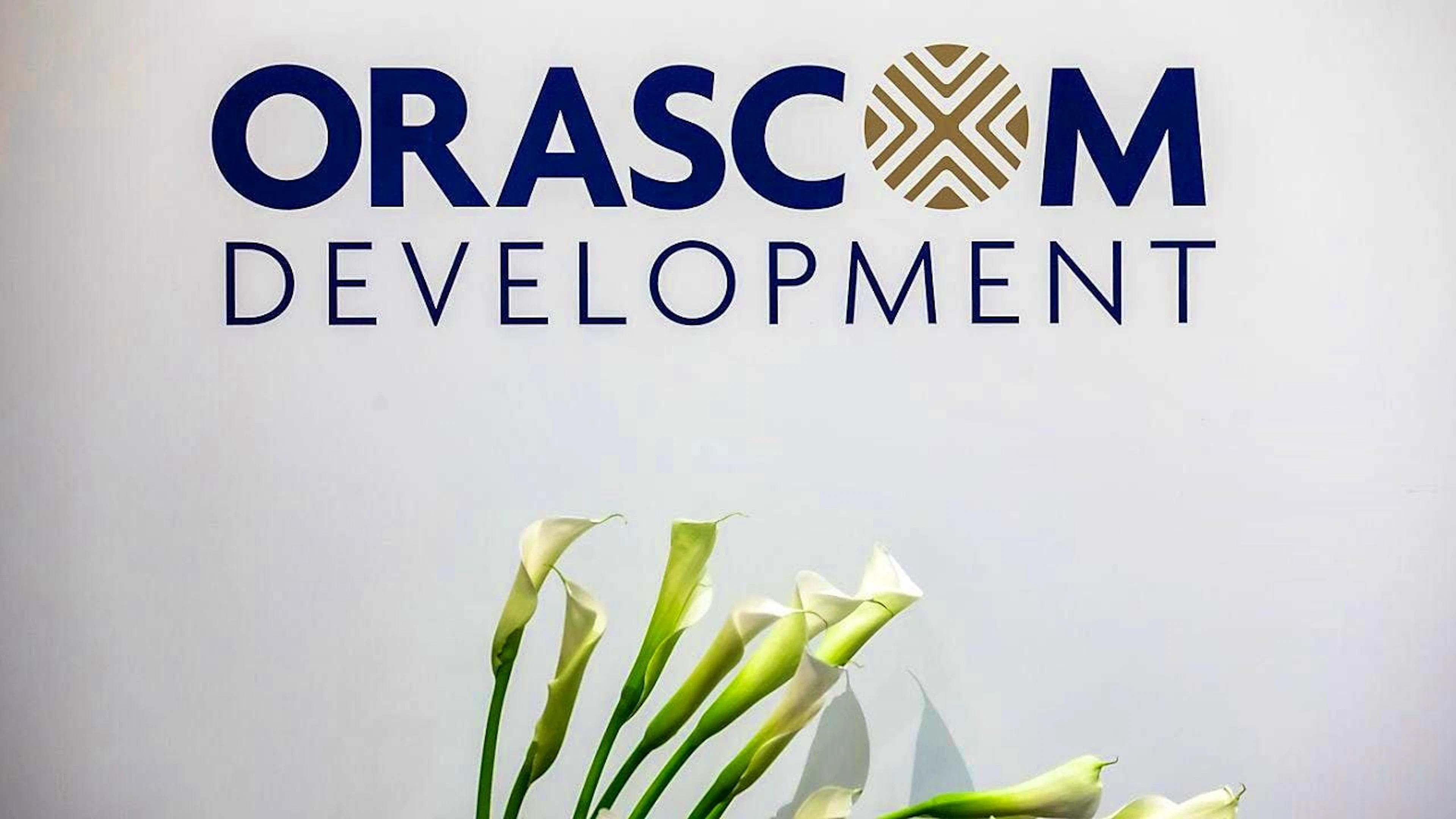 Orascom wants to accelerate the monetization of land reserves. (symbolic image)