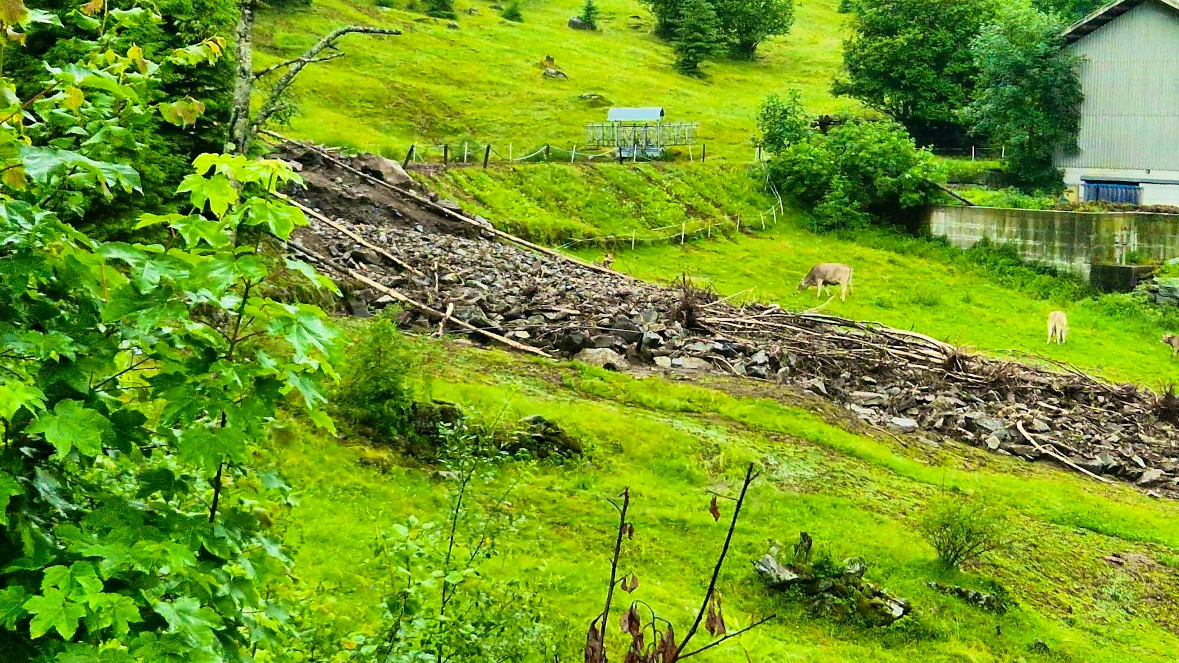 Debris avalanche in Piano di Peccia on 30.6.2024.