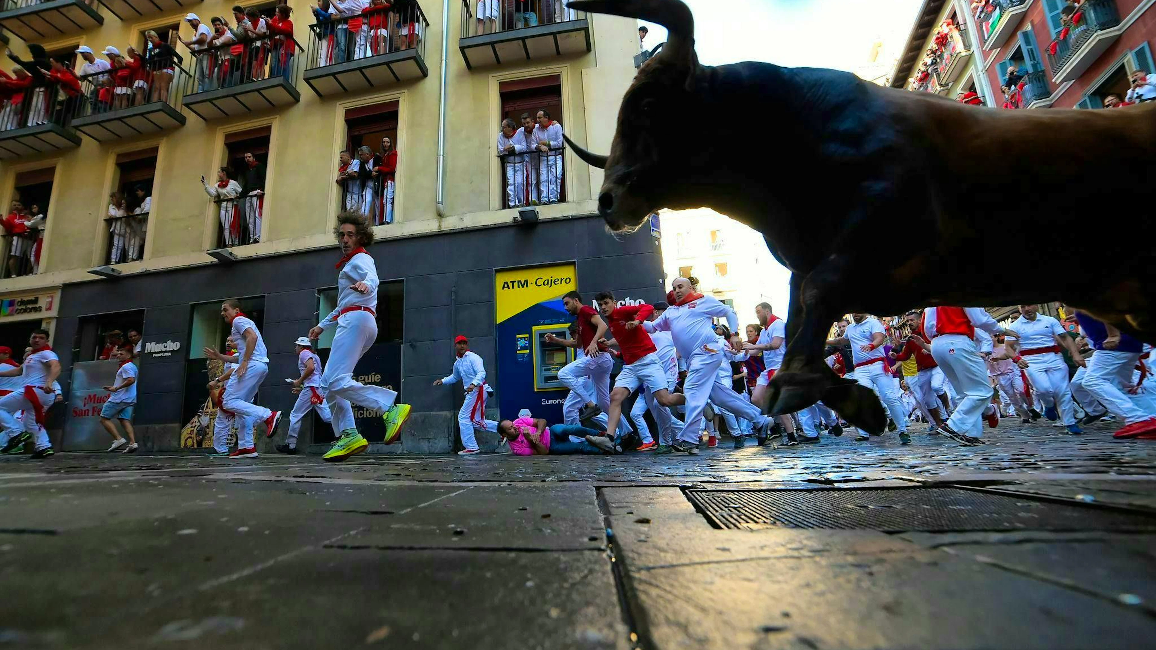 Save yourself who can: When the bulls come. Falls are common.