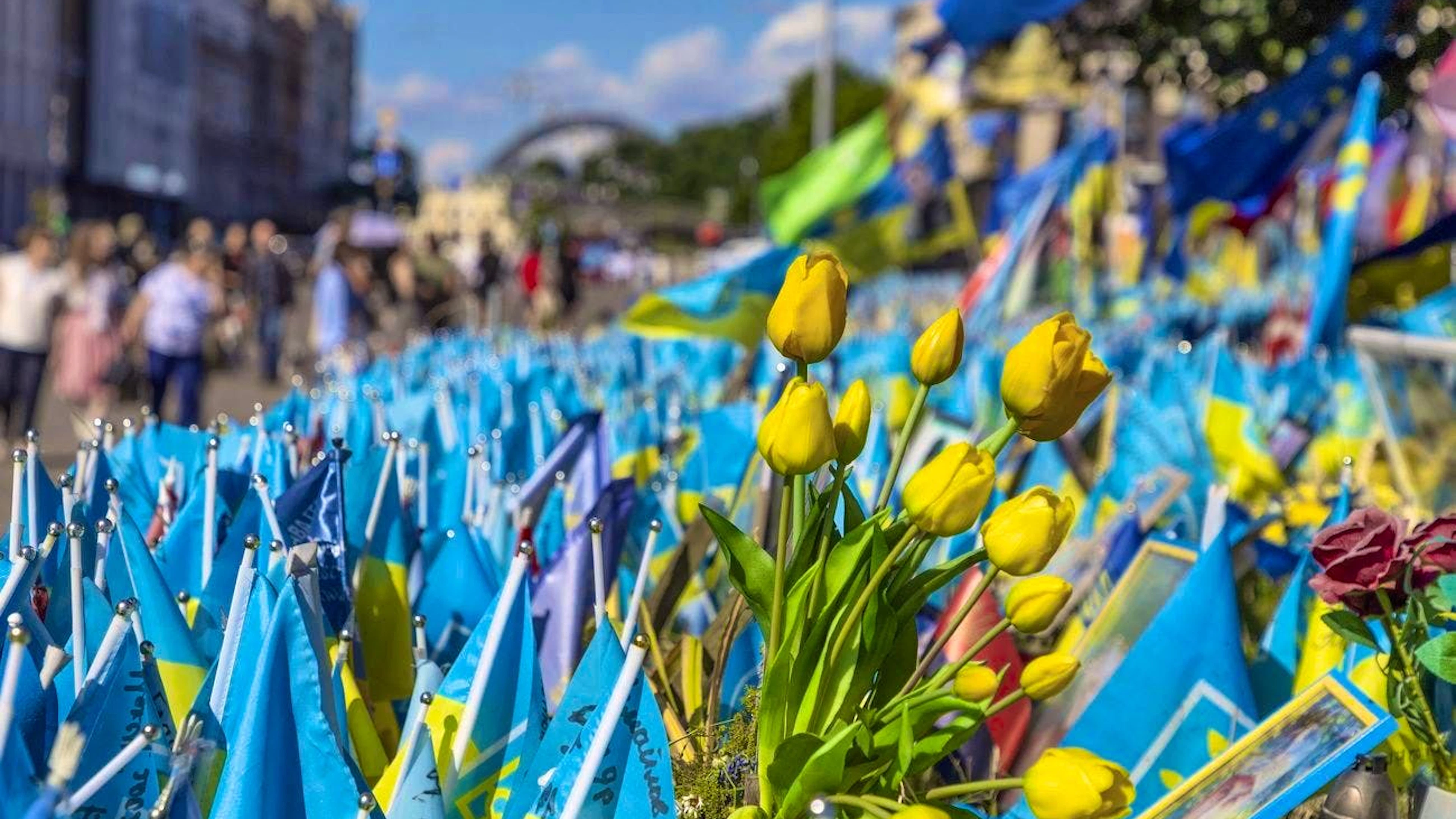 June 25 in Kiev: tulips and flags commemorate fallen soldiers.