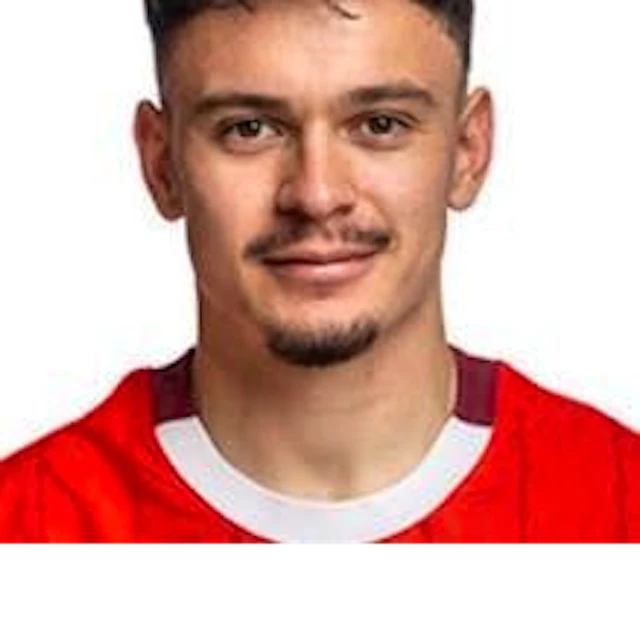 Portrait of Fabian Rieder