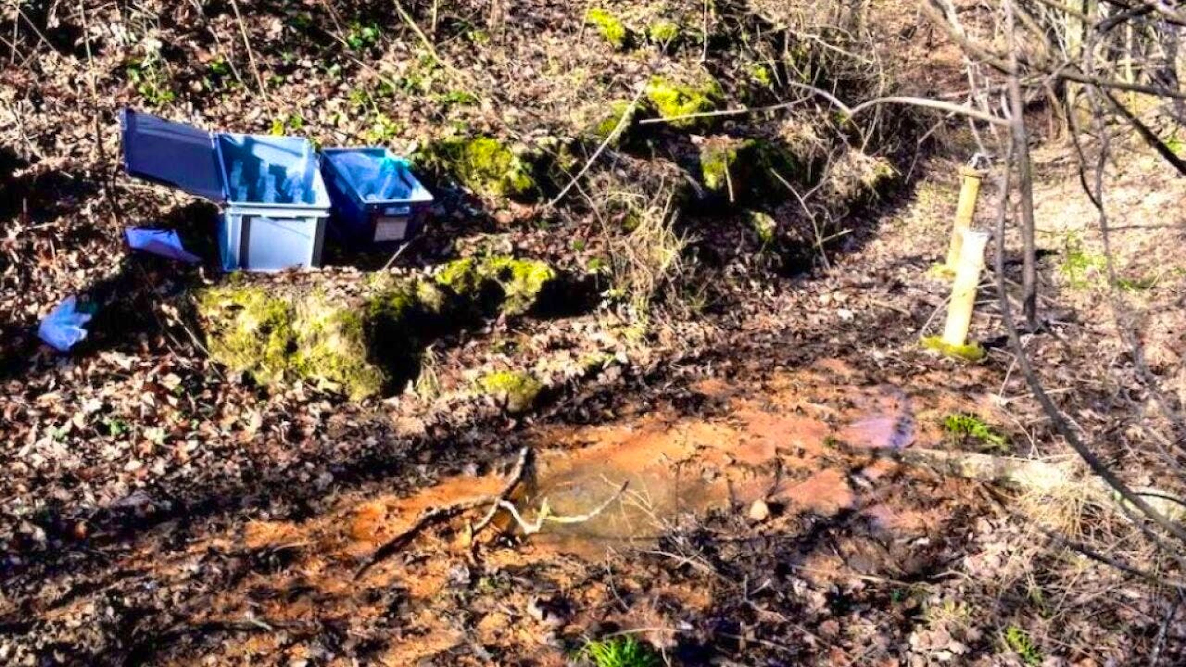 The polluted water of the Roemisloch stream.