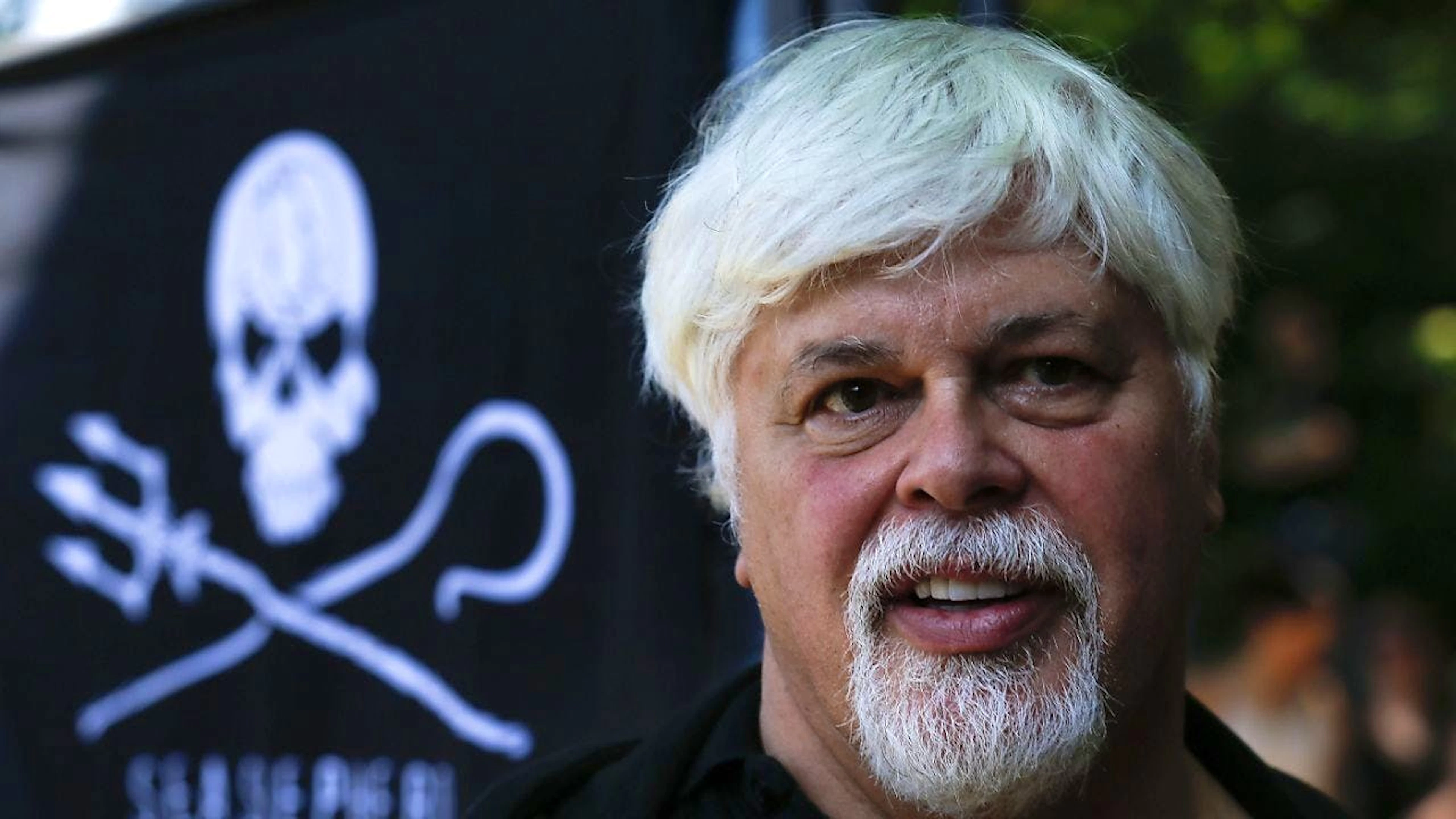 Paul Watson, l'attivista arrestato in Groenlandia su mandato giapponese per la sua lotta contro la caccia alle balene. (foto d'archivio)