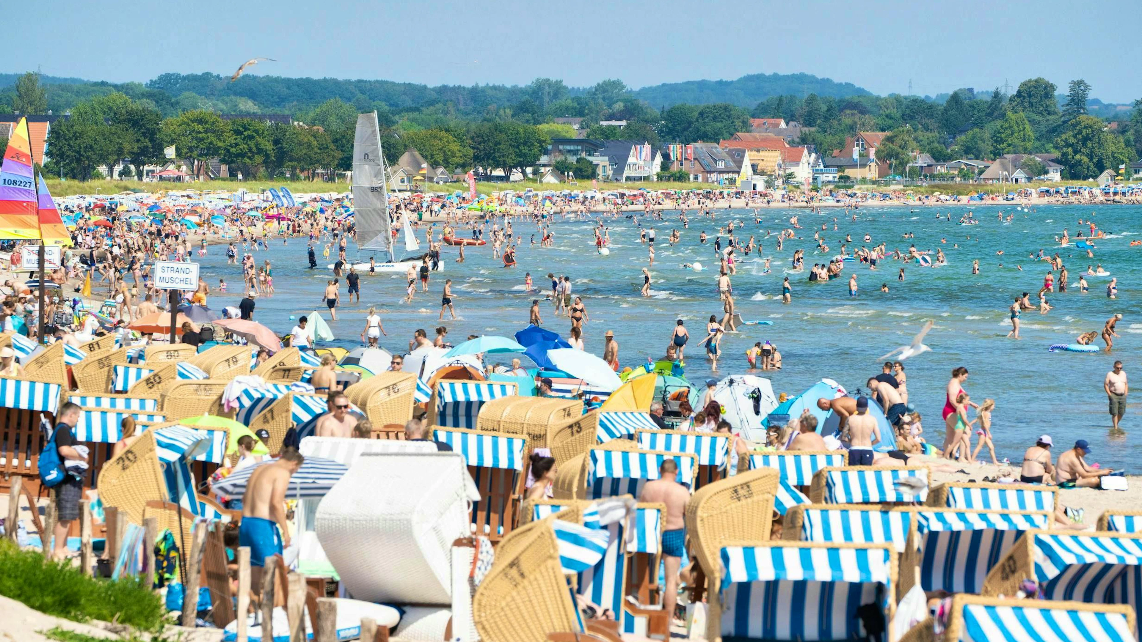 Hardly a leaf can fit between the beach chairs on the beach in Scharbeutz.