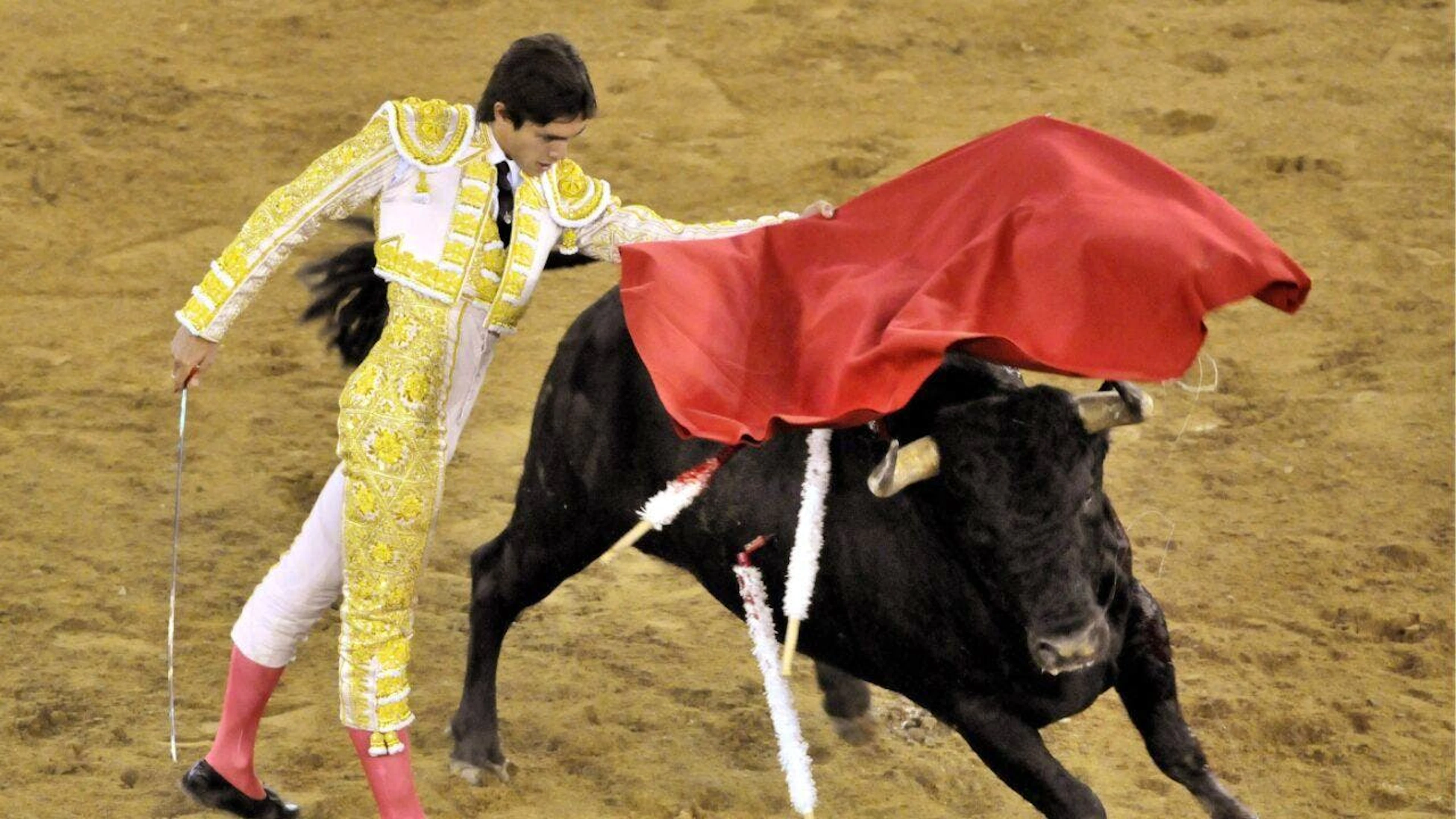 Un immagine che non si rivedrà: una corrida a Cali, in Colombia, nel 2010. (foto d'archivio)