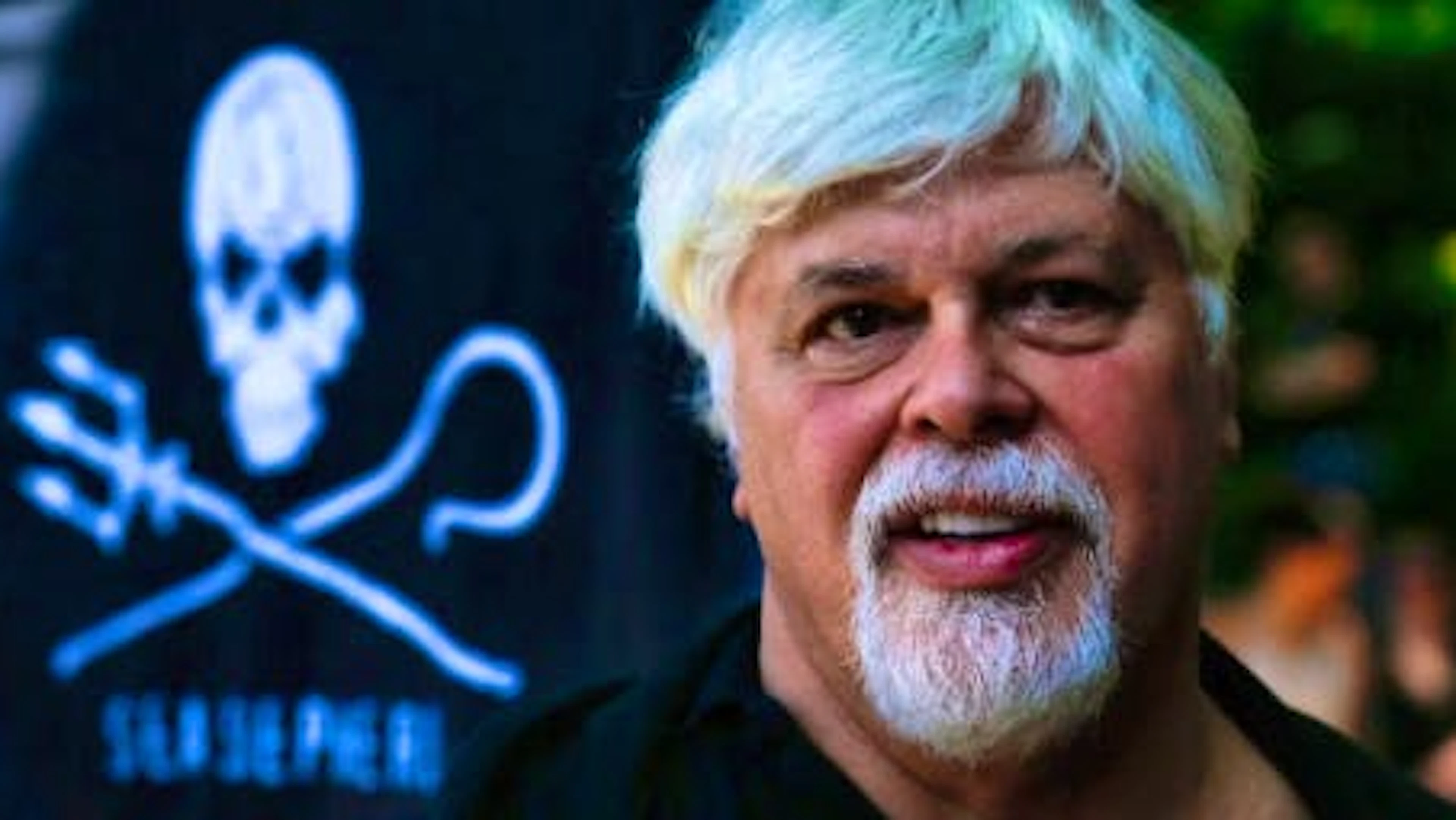 Paul Watson, 75 ans, a été détenu au Groenland pendant cinq mois avant de pouvoir rentrer à Paris (archives).