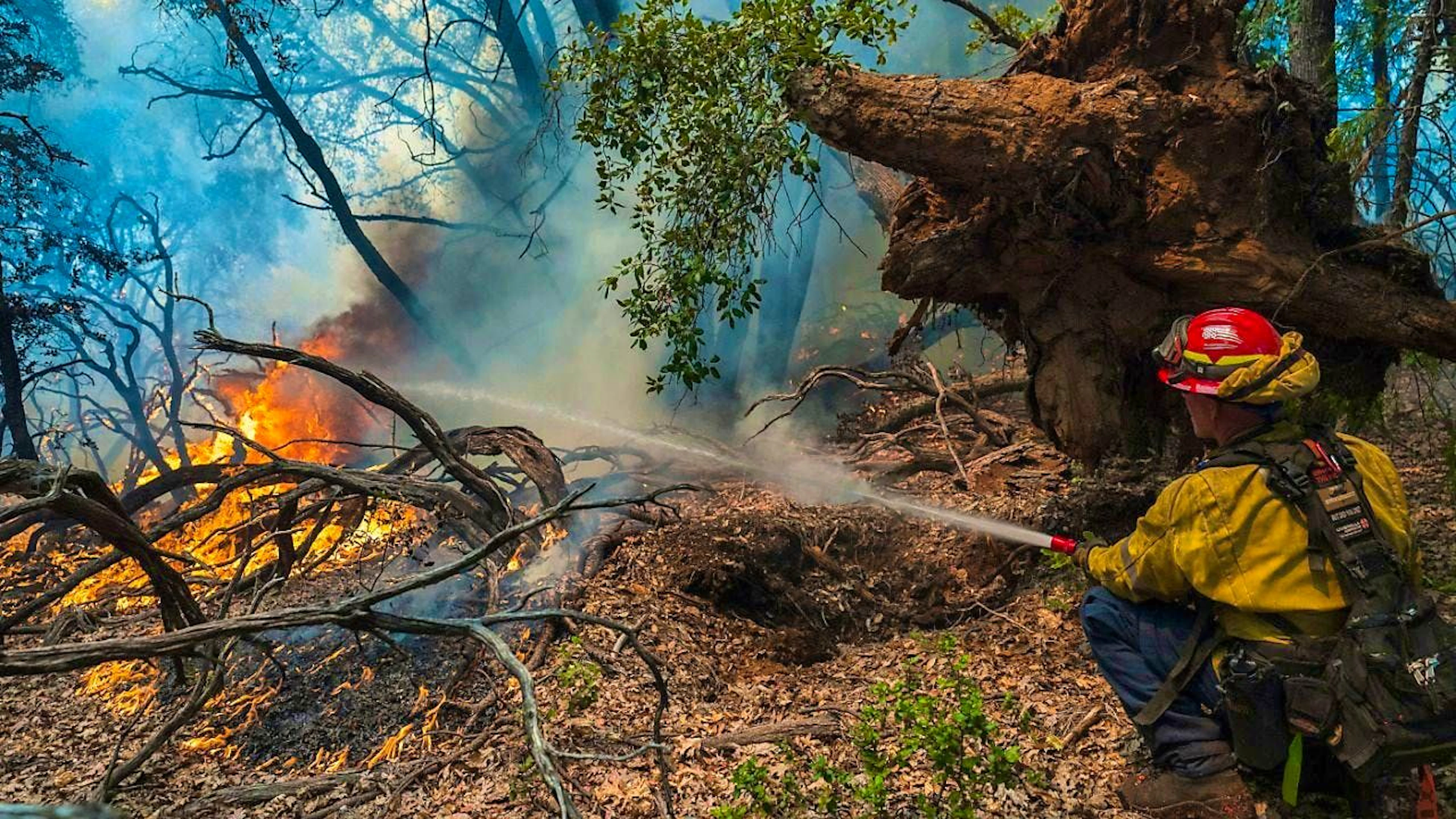 A firefighter sprays water on the Park Fire burning near Forest Ranch, California. Photo: Nic Coury/AP/dpa