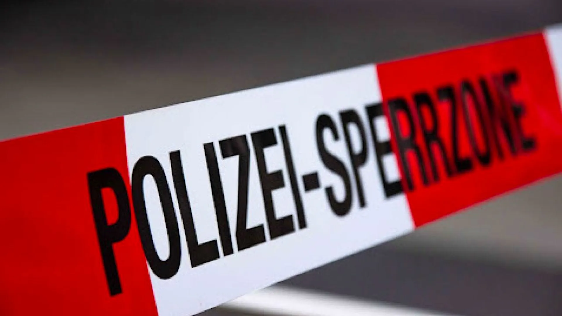 Tote Frau im Bodensee bei Rorschach gefunden – Polizei bittet um Hinweise