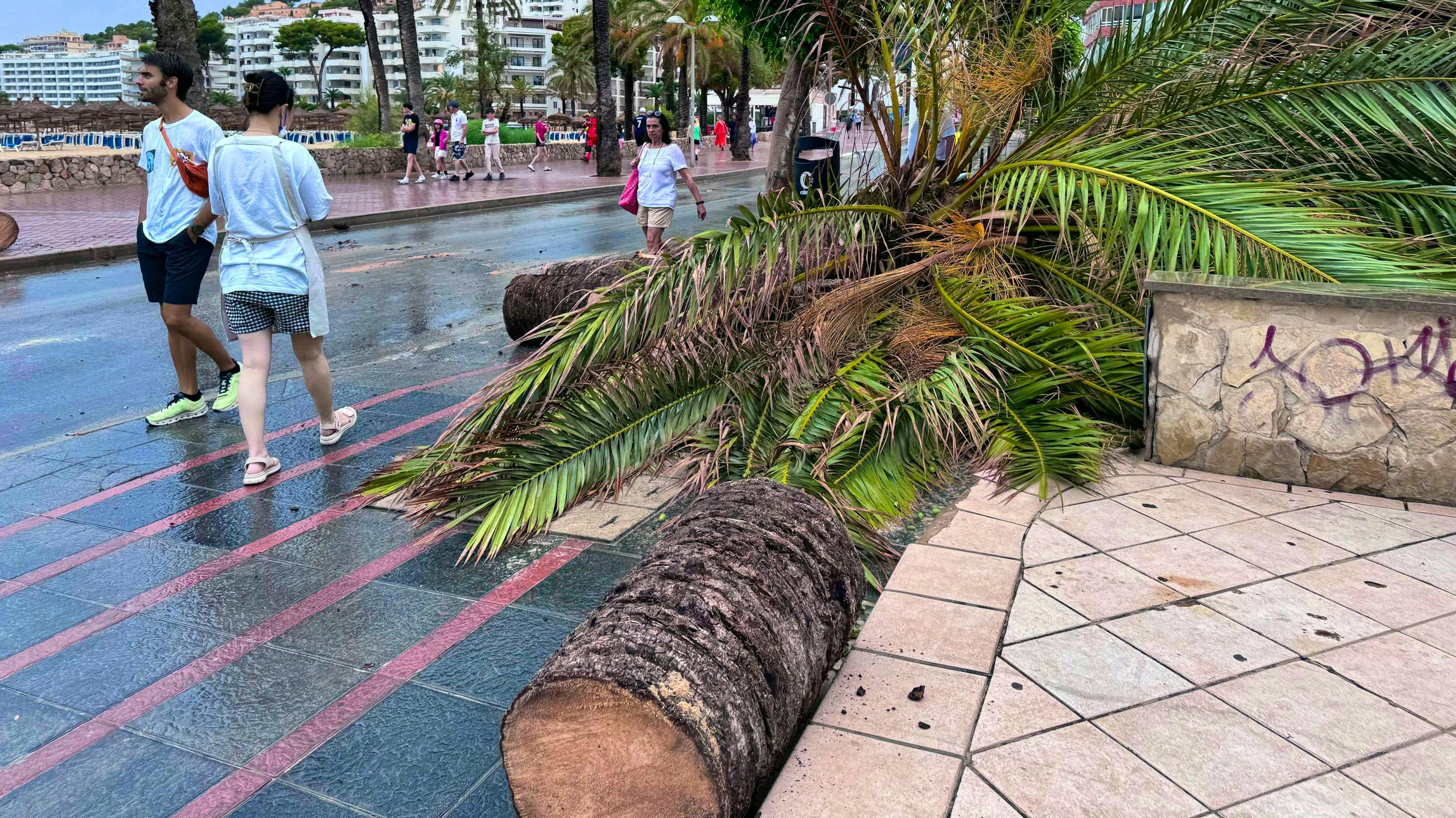 Le tempeste hanno causato molti danni a Maiorca.
