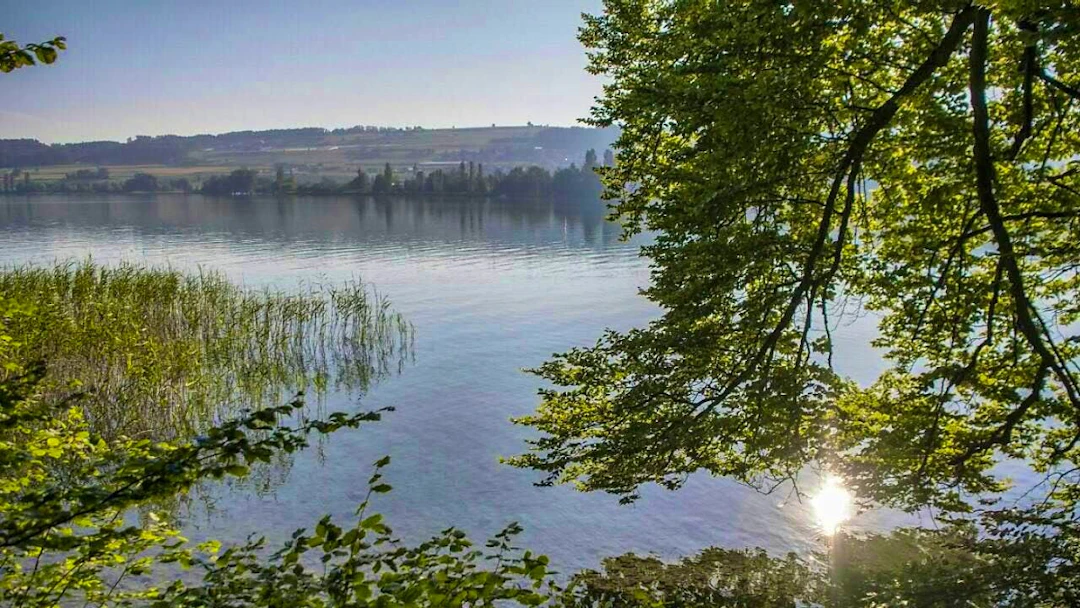Promitte Aargau parliament does not want a guest tax to promote tourism