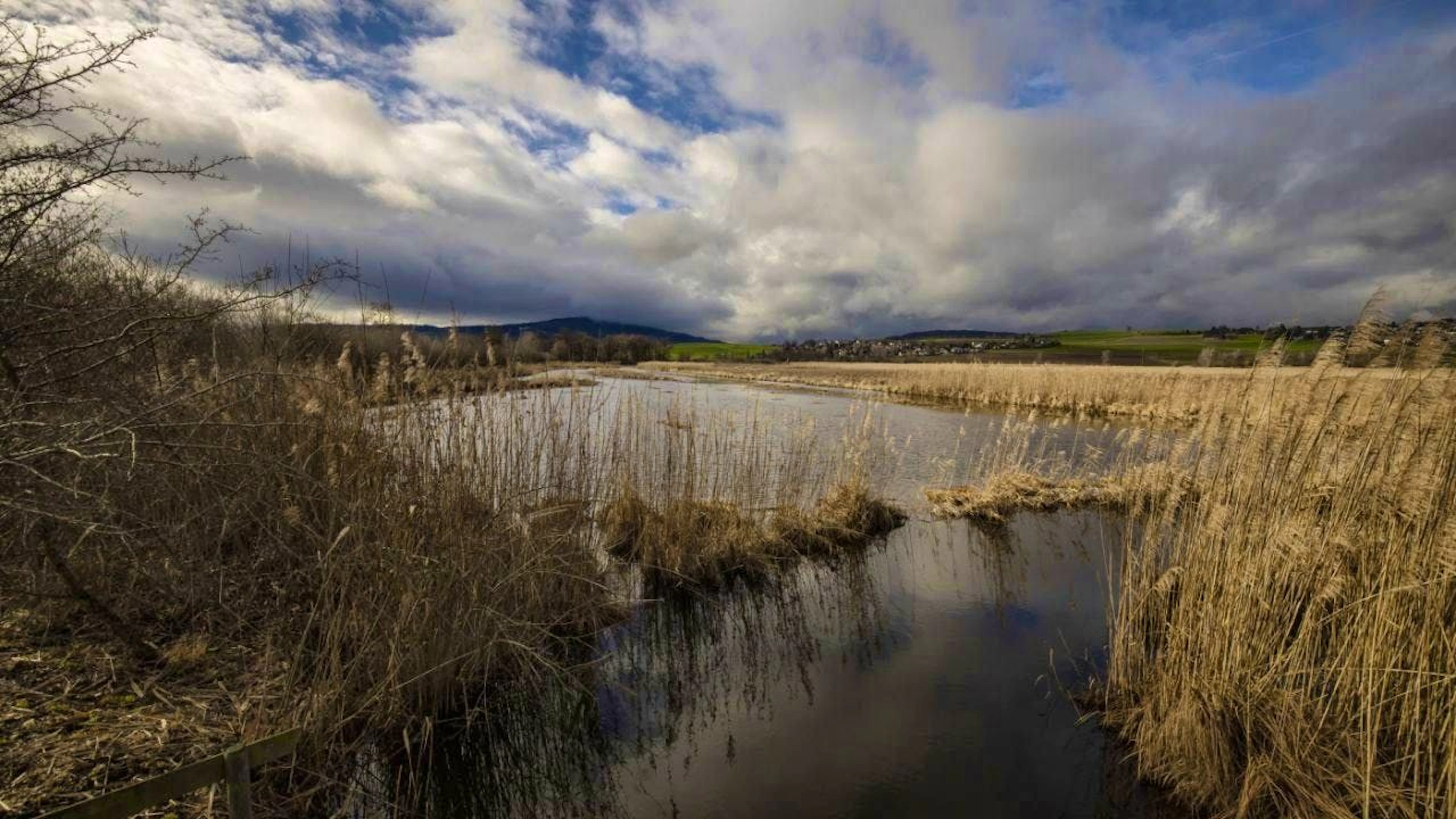 The foundation's new management duo wants to stand up for protected landscape areas like this one in the future. (symbolic image)
