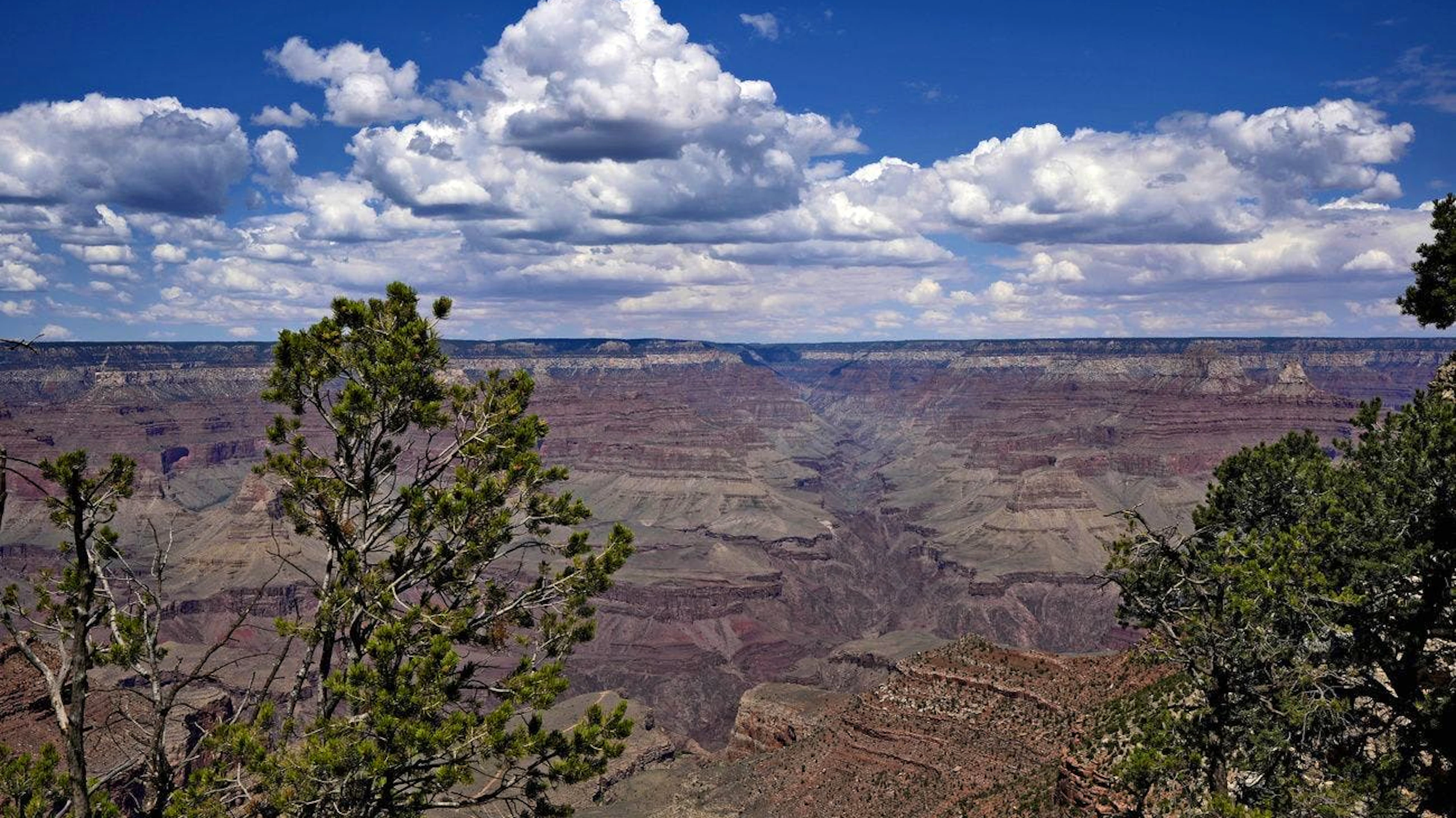 In Arizona befindet sich – neben weiteren Naturwundern – der Grand Canyon. (AP Photo/Matt York)