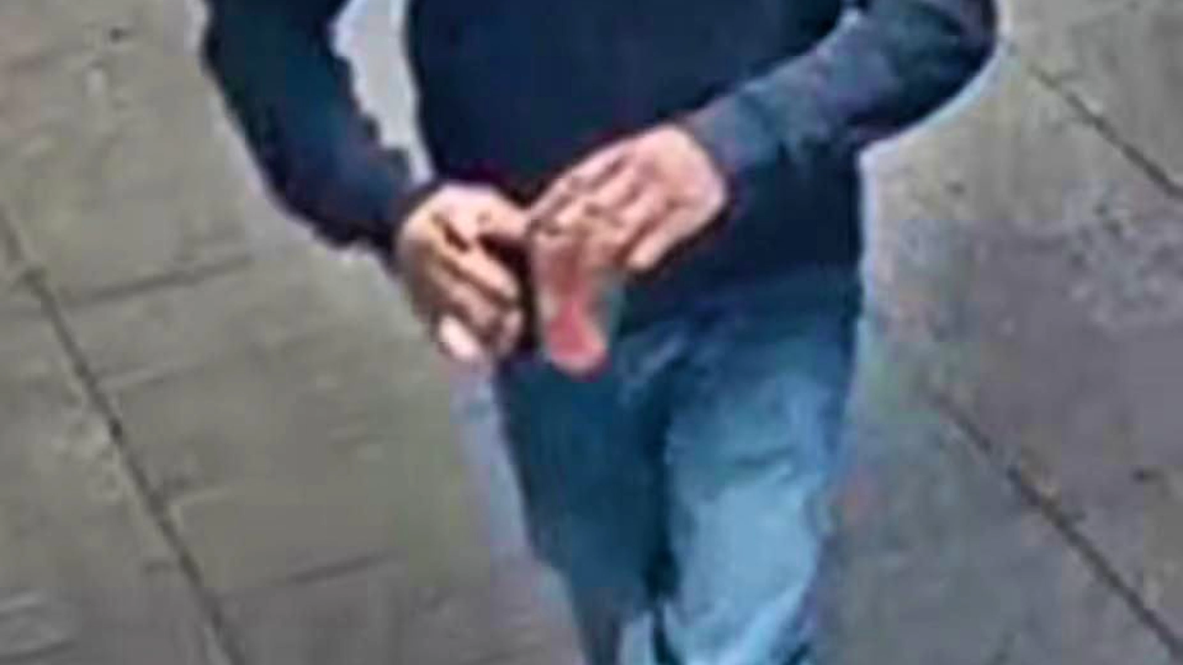 Bern cantonal police are looking for two suspected perpetrators with these unpixelated images.
