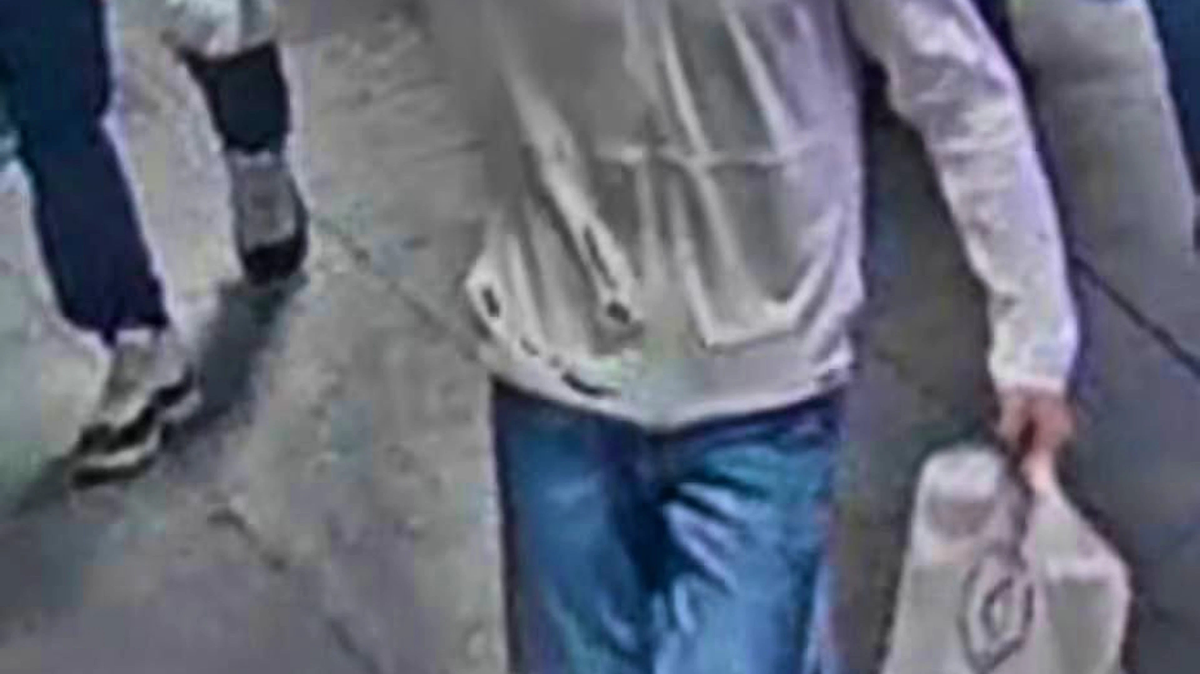 Bern cantonal police are looking for two suspected perpetrators with these unpixelated images.