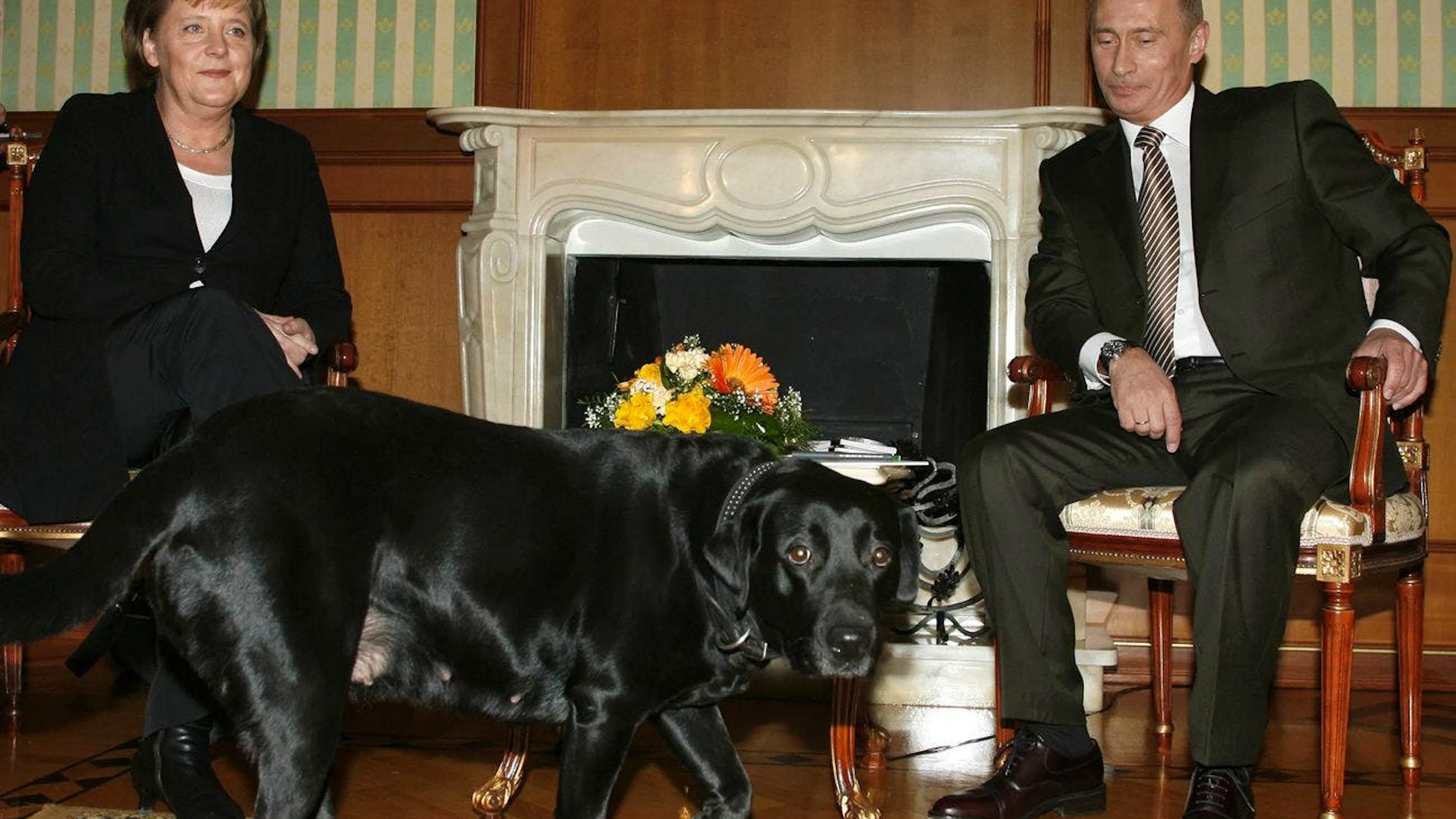 «Si j'avais su...» - Poutine regrette d’avoir effrayé Merkel avec son chien