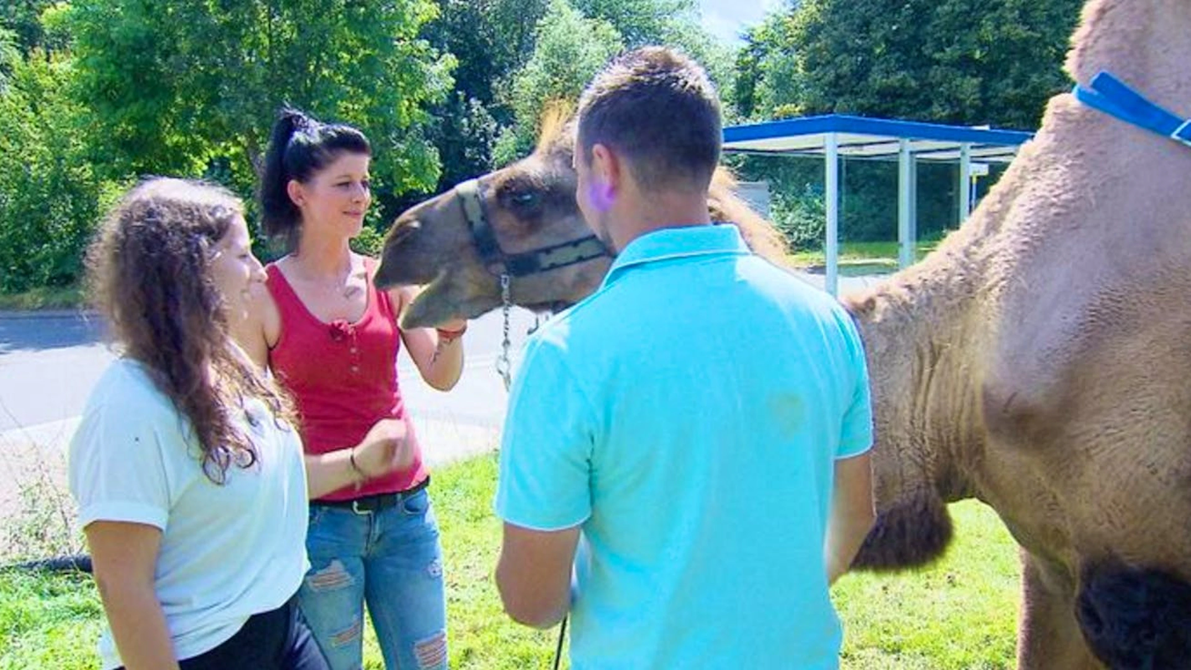 Eva (l.) und Sabrina machen Bekanntschaft mit Marvins Kamelen.