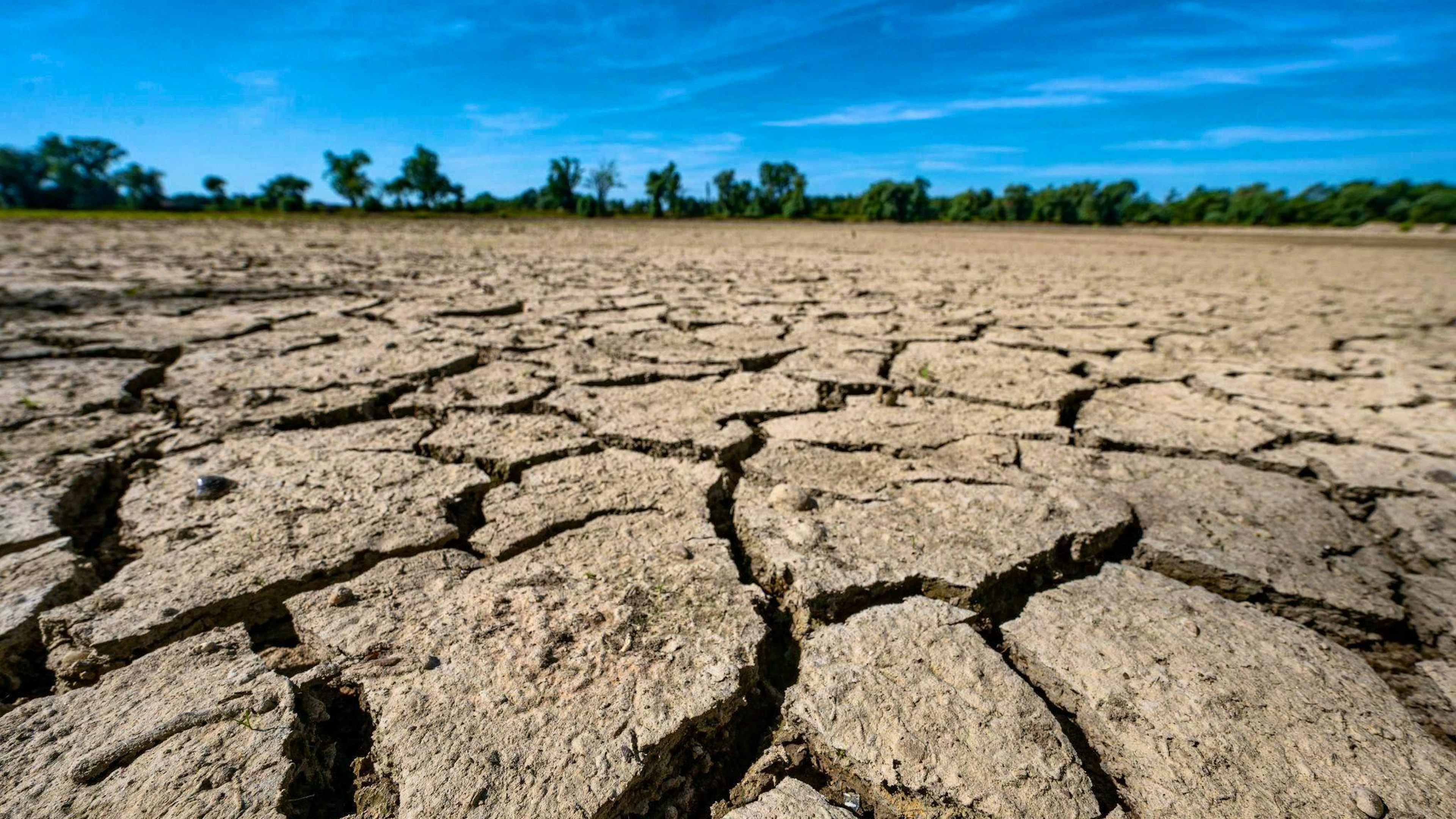 A sandbank on the low-water Danube is torn up and dried out.