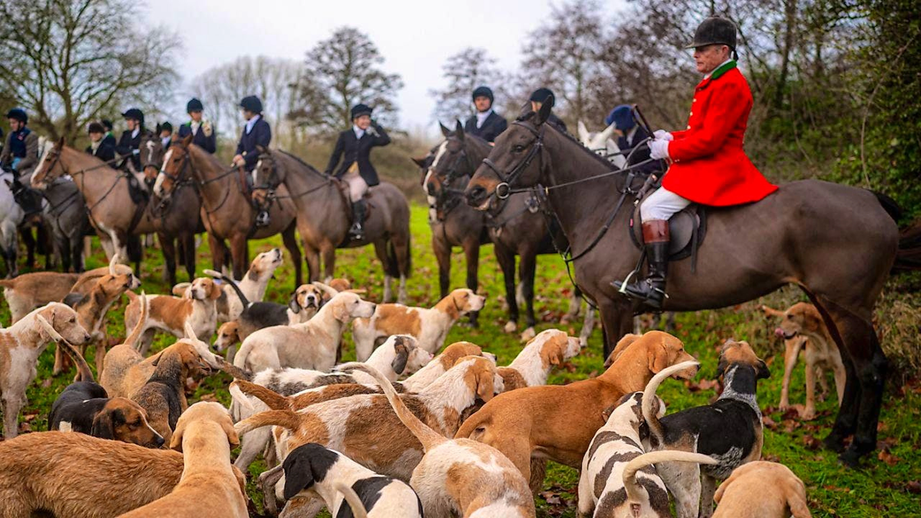 The riders in their red jackets and their packs of hounds attract numerous onlookers, especially on Boxing Day. (archive picture)
