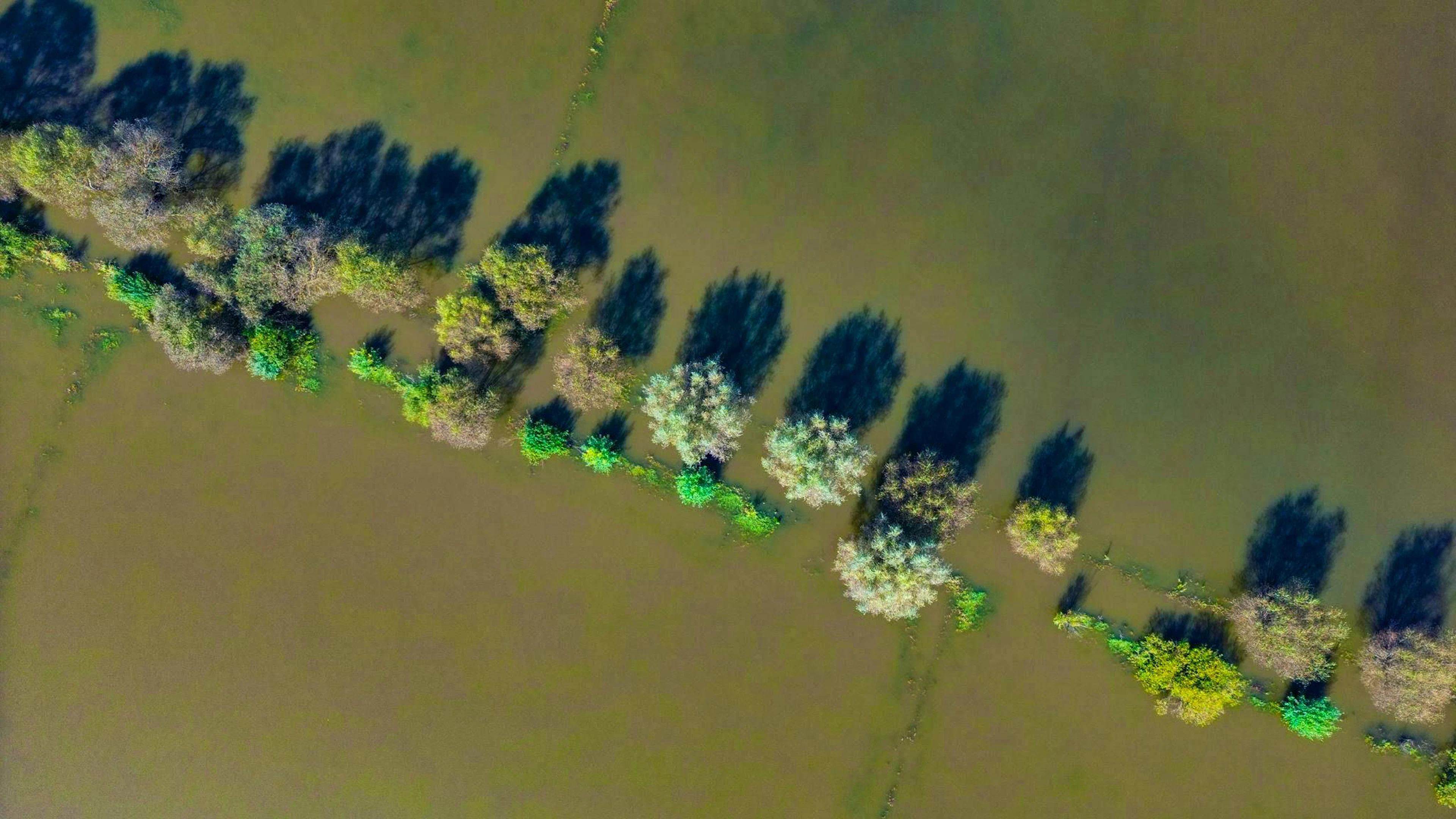 Meadows outside the city of Frankfurt (Oder) are flooded by the high waters of the River Oder in September 2024.