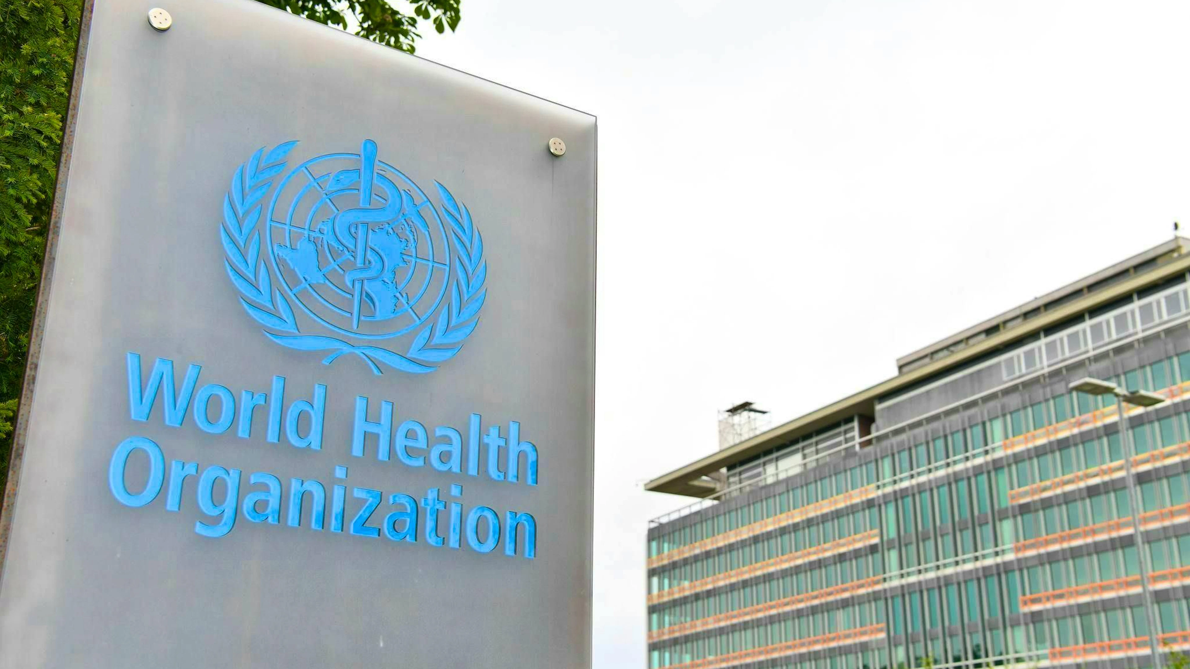 According to the World Health Organization, however, it is probably a "combination of frequent and seasonal viral respiratory infections and falciparum malaria".