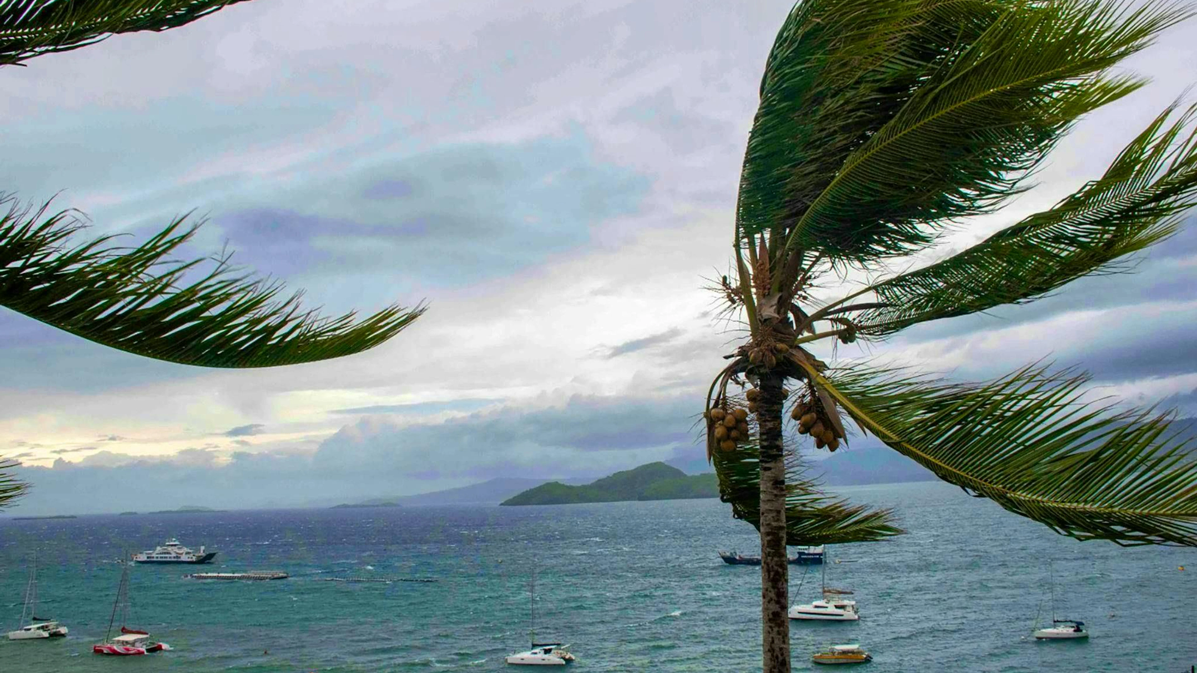 Initial rapid analyses suggest that the devastating cyclone "Chido" was intensified by man-made climate change.