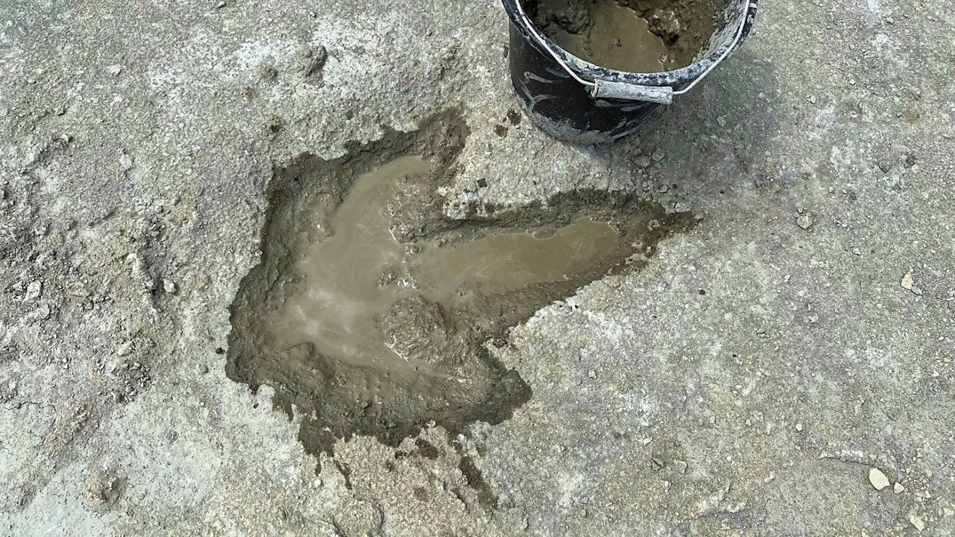 Forscher haben in einem Steinbruch in Oxfordshire, England, etwa 200 Dinosaurierspuren entdeckt. (02. Januar 2025)