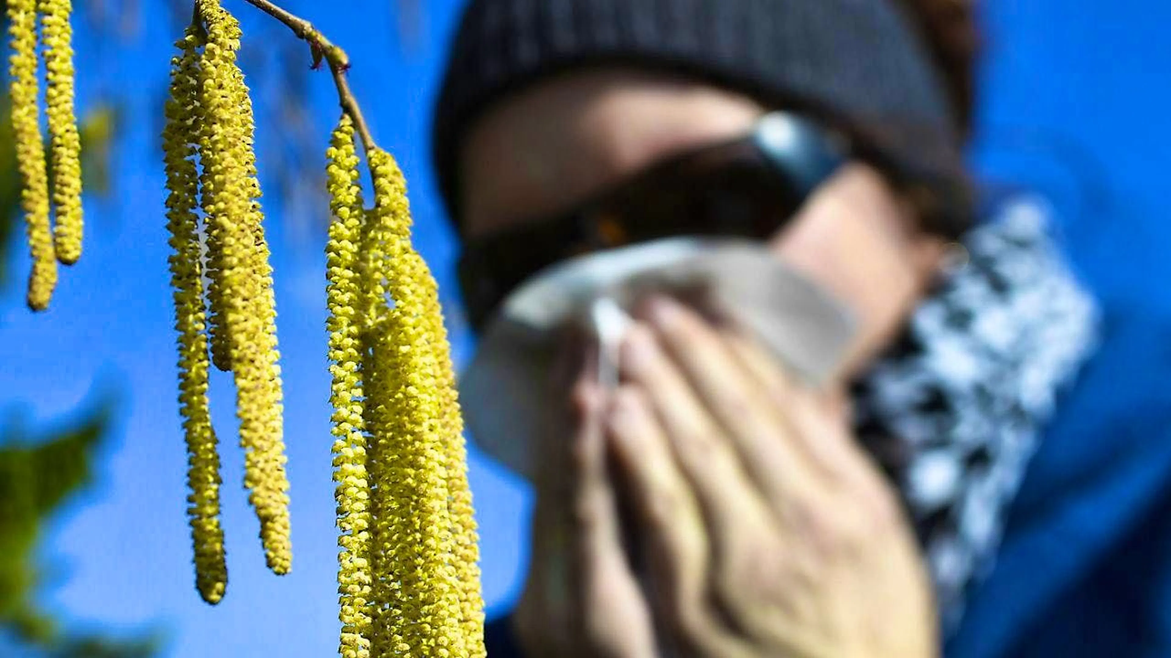 The pollen season is starting now - these allergy sufferers are affected