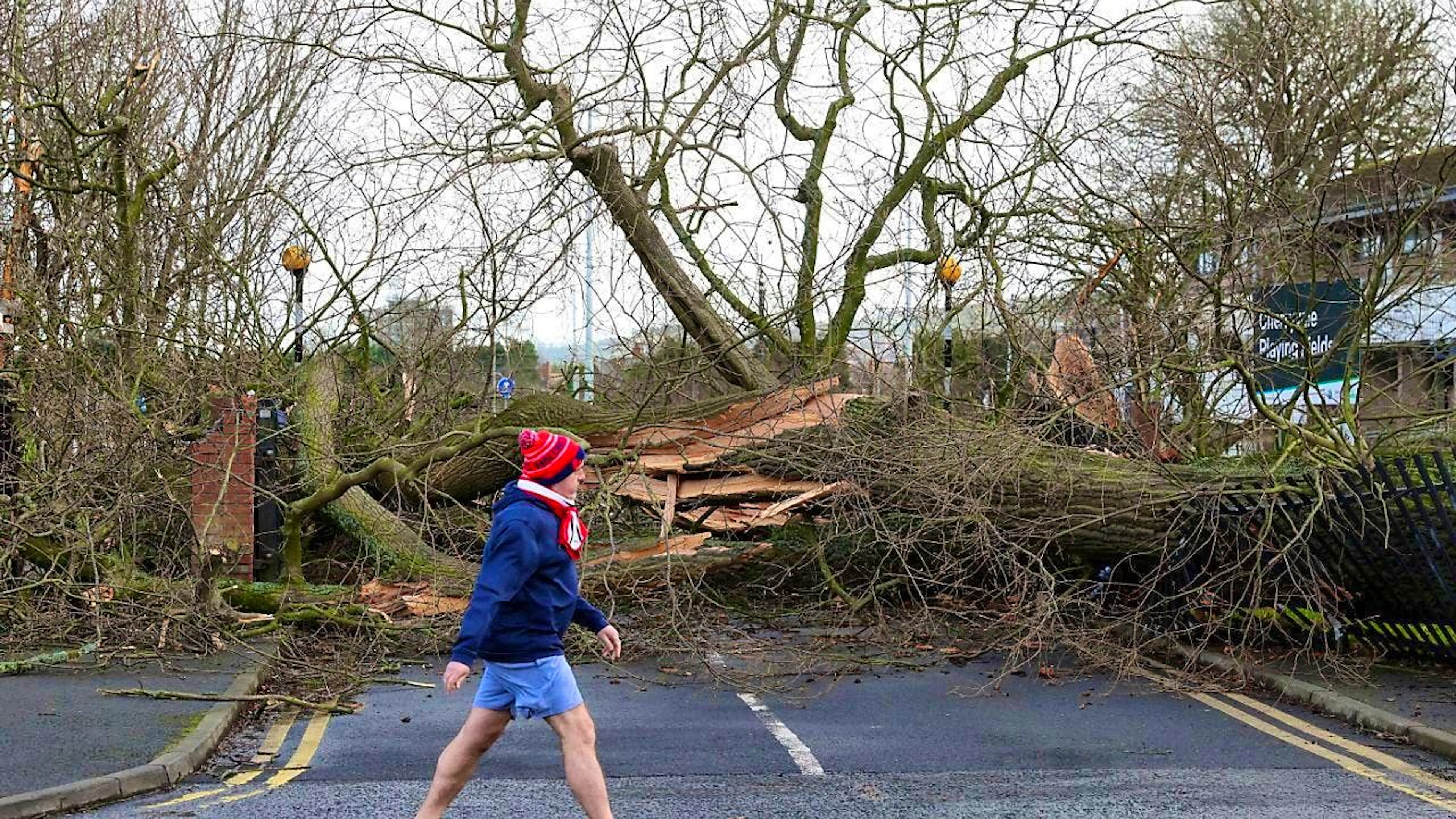 A fallen tree blocks a road. Ireland and Great Britain have had a turbulent night. Photo: Uncredited/AP/dpa