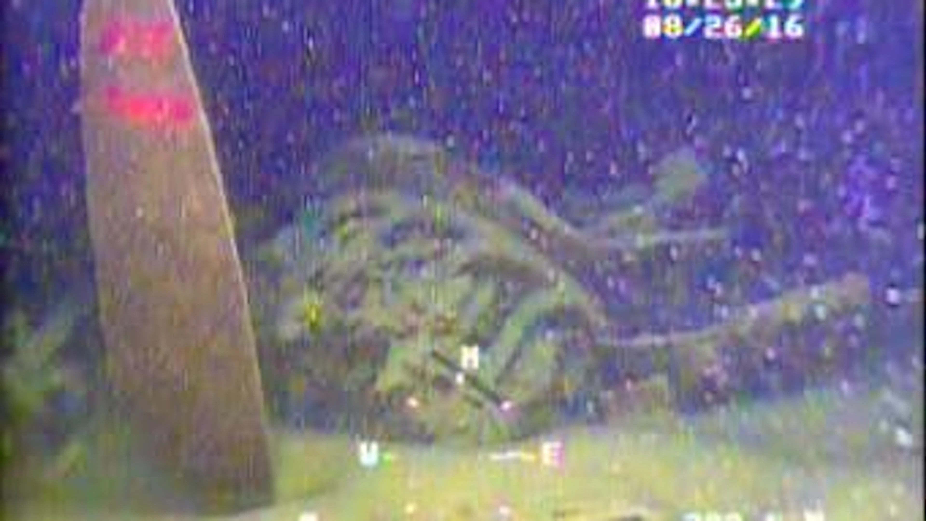 The human bones could belong to one of the four missing passengers.