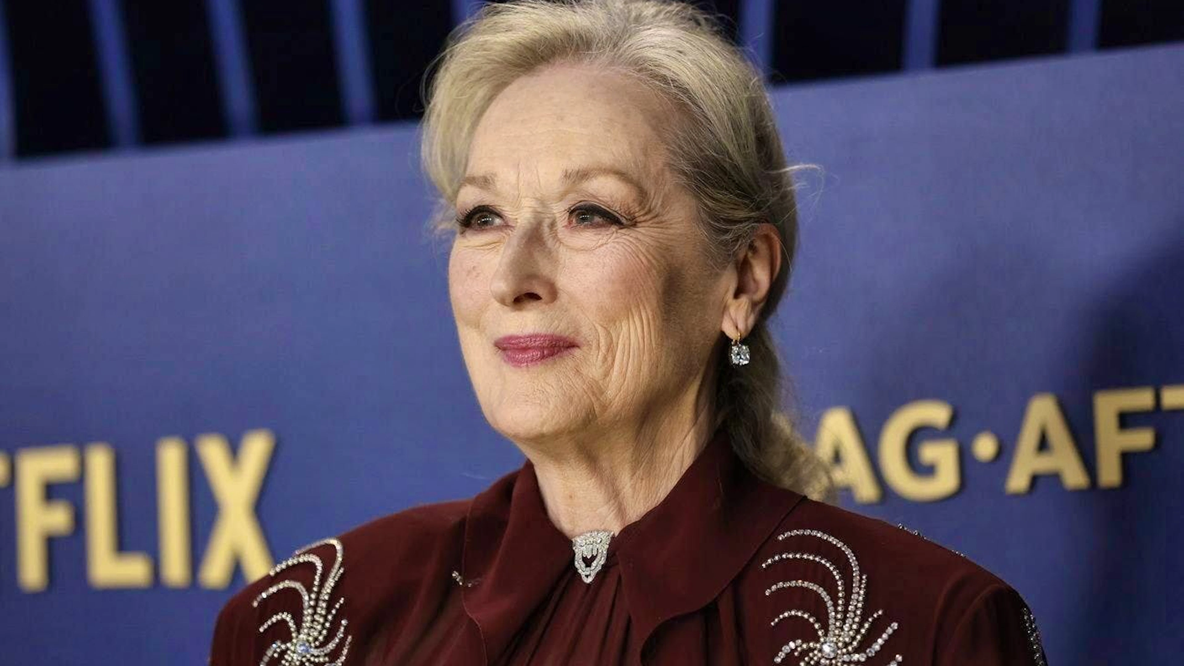Many Hollywood stars have lost their homes in the fires in Los Angeles. Meryl Streep also had to be evacuated from her property.