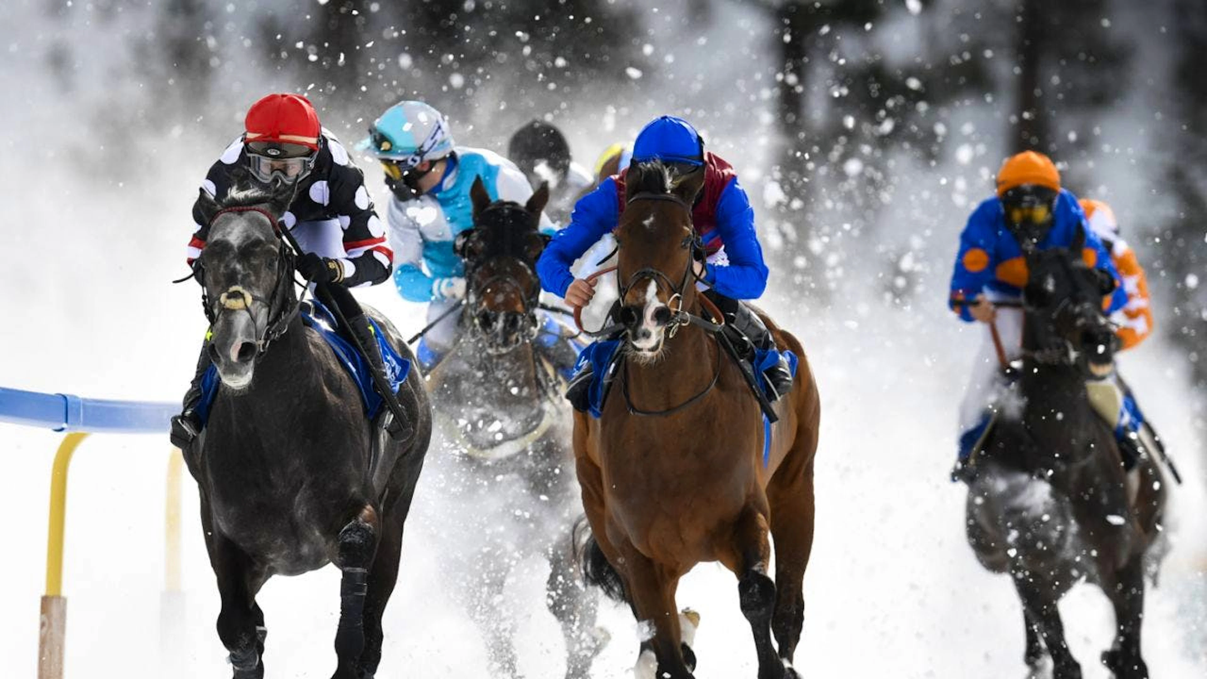 Action auf Schnee: das White Turf