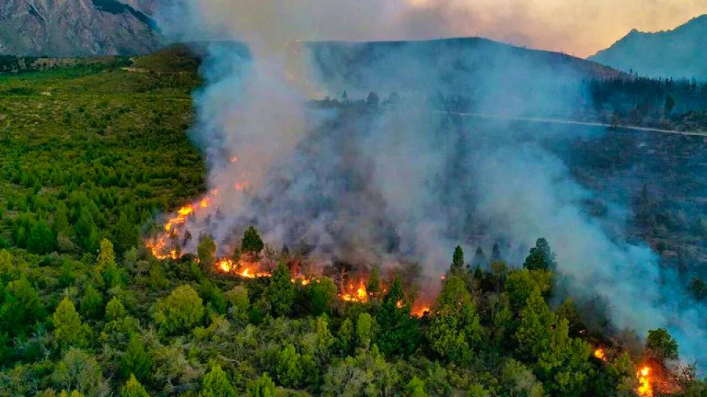 One dead in forest fires in Patagonia