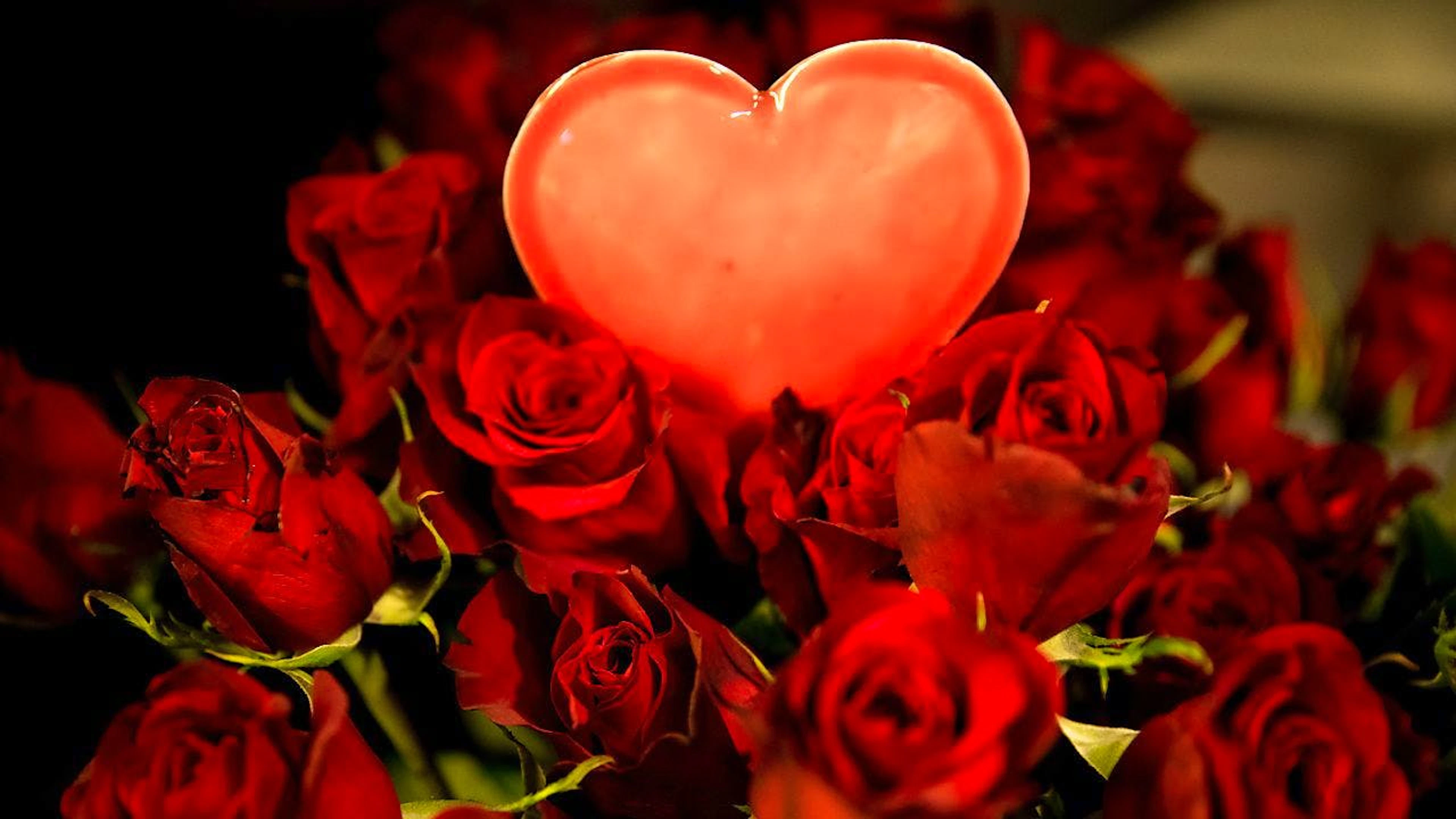 La Saint-Valentin est l'un des événements les plus importants pour les fleuristes suisses. (Image d'illustration)