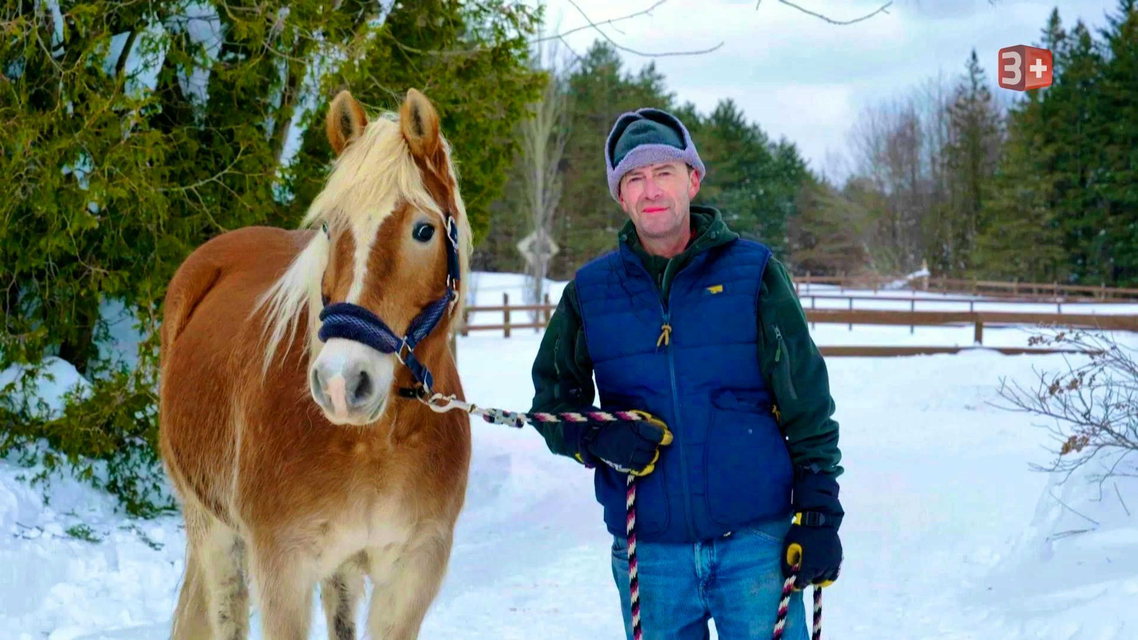 Theo (53), a landlord from Graubünden, has lived in Canada for 40 years and will soon have a new woman at his side?