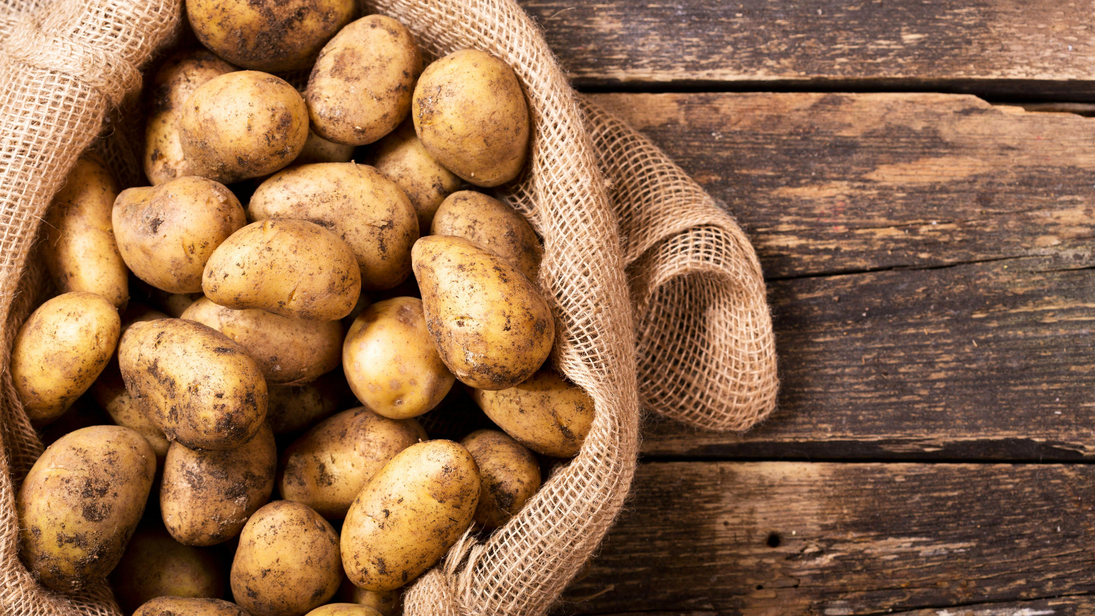 Die meisten Stärkequellen sind sehr gut verdaulich. Eine gute Wahl sind Salzkartoffeln, da diese auch den Salzgehalt regulieren, wenn mehr geschwitzt wird.
