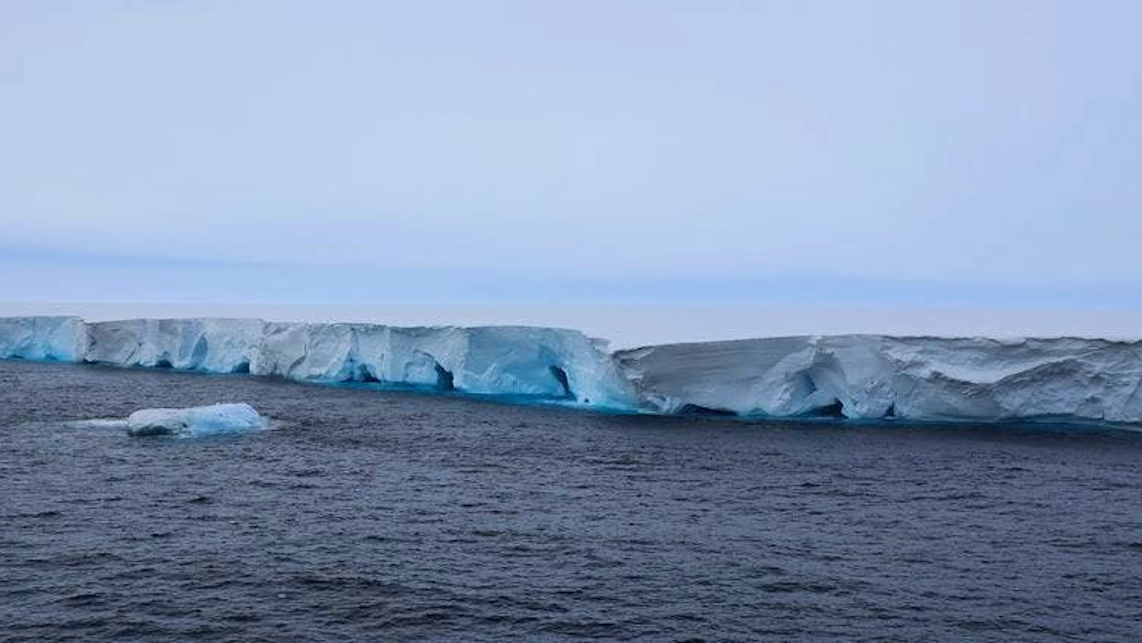 Der grösste und älteste Eisberg der Welt, A23a, ist nach Angaben von Wissenschaftlern in der Nähe der Insel Südgeorgien auf Grund gelaufen.