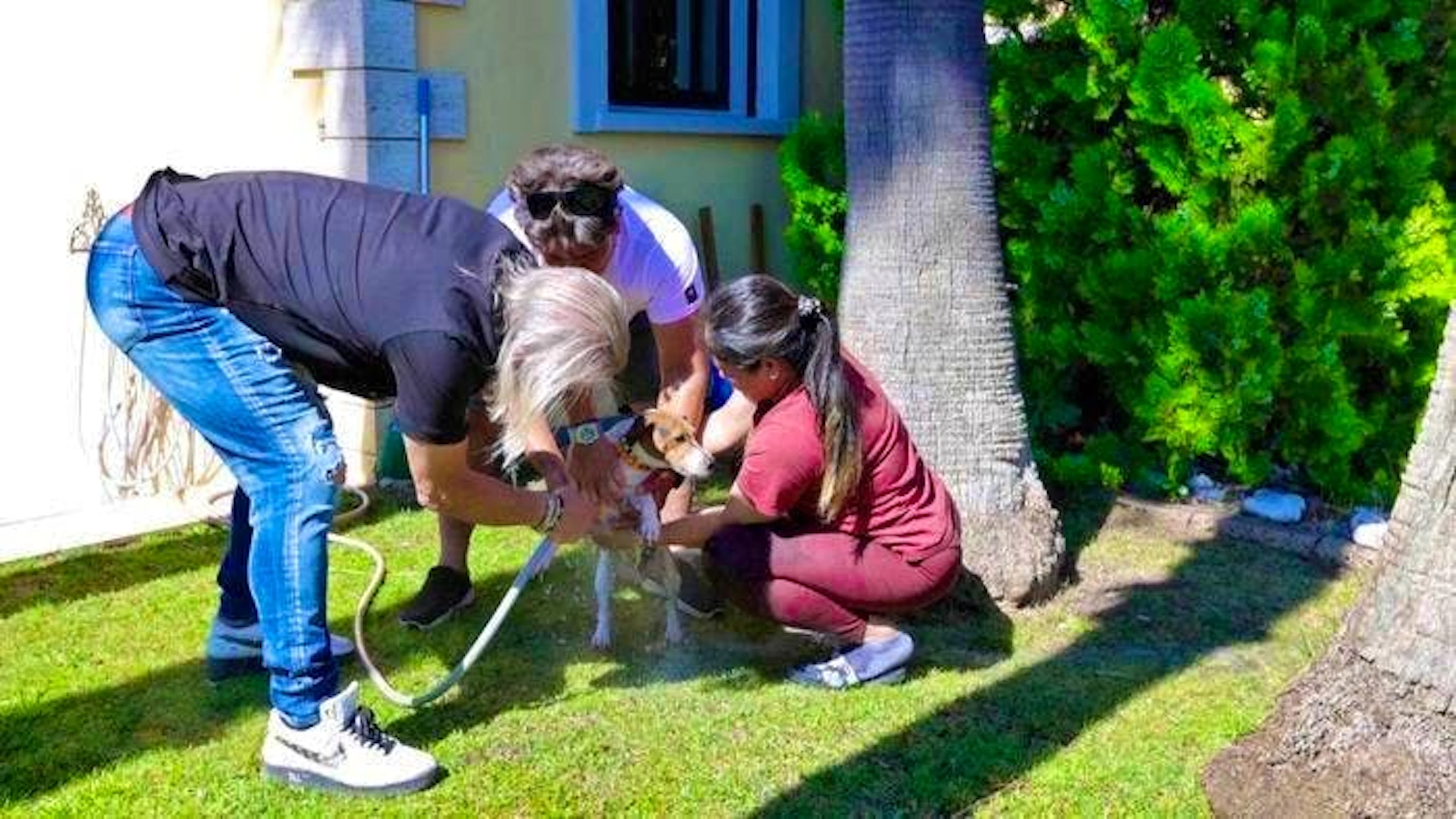 The Geiss family is able to rescue the terrier. Nothing happened to the four-legged friend.