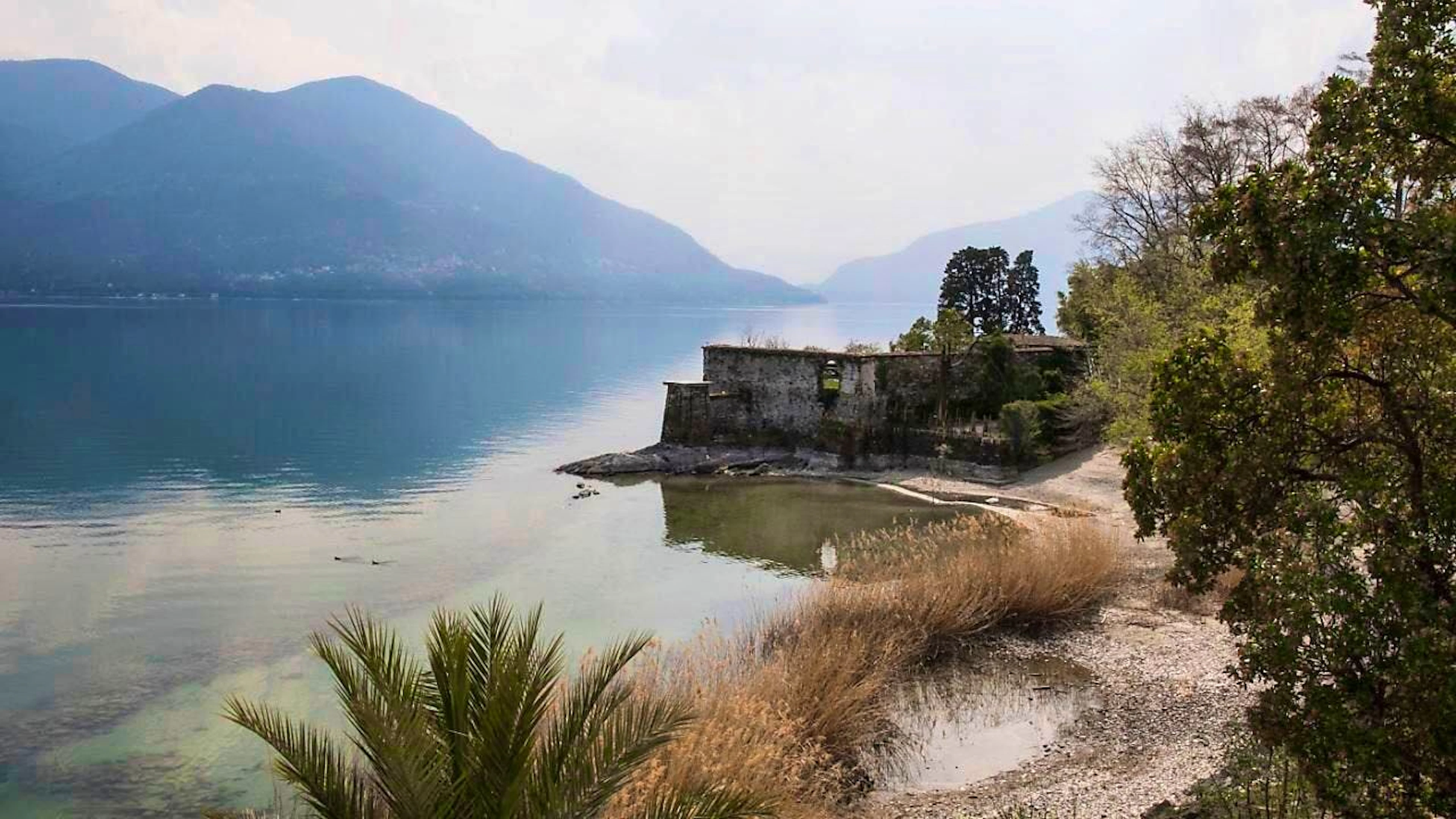 Unique microclimate: subtropical plants from all over the world thrive on the Brissago Islands. (archive picture)