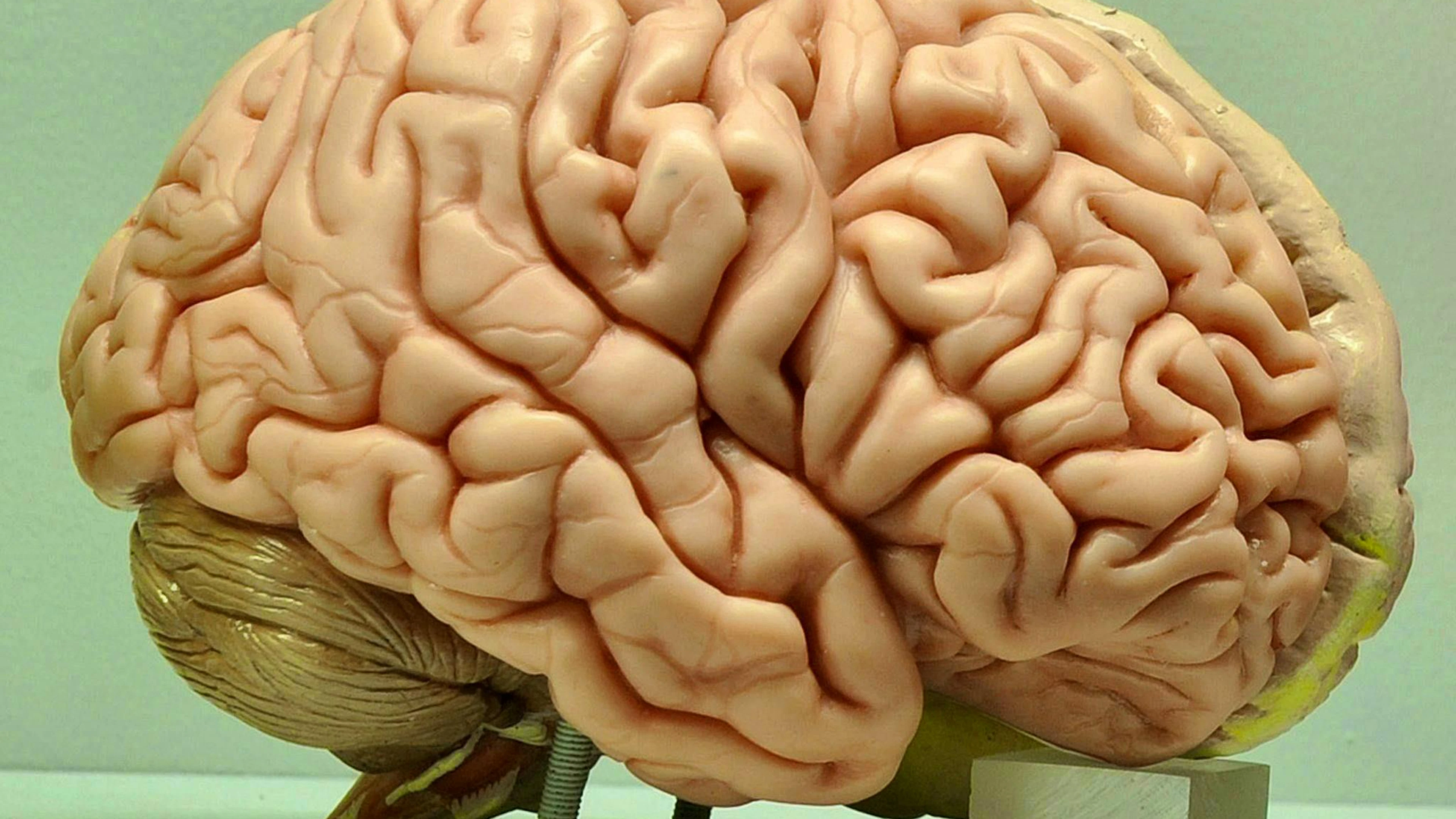 Our brain is even better than we think.
