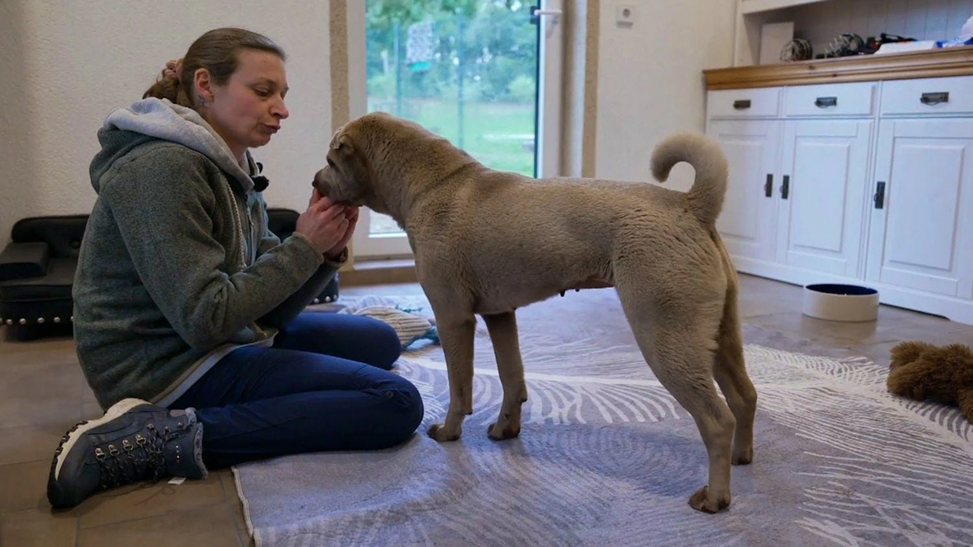 Tierschützerin Stefanie «Stevie» Bandura hörte von dem Schicksal von Hündin Daphne und nahm sie in ihrem Hundesenioren-Hospiz auf.