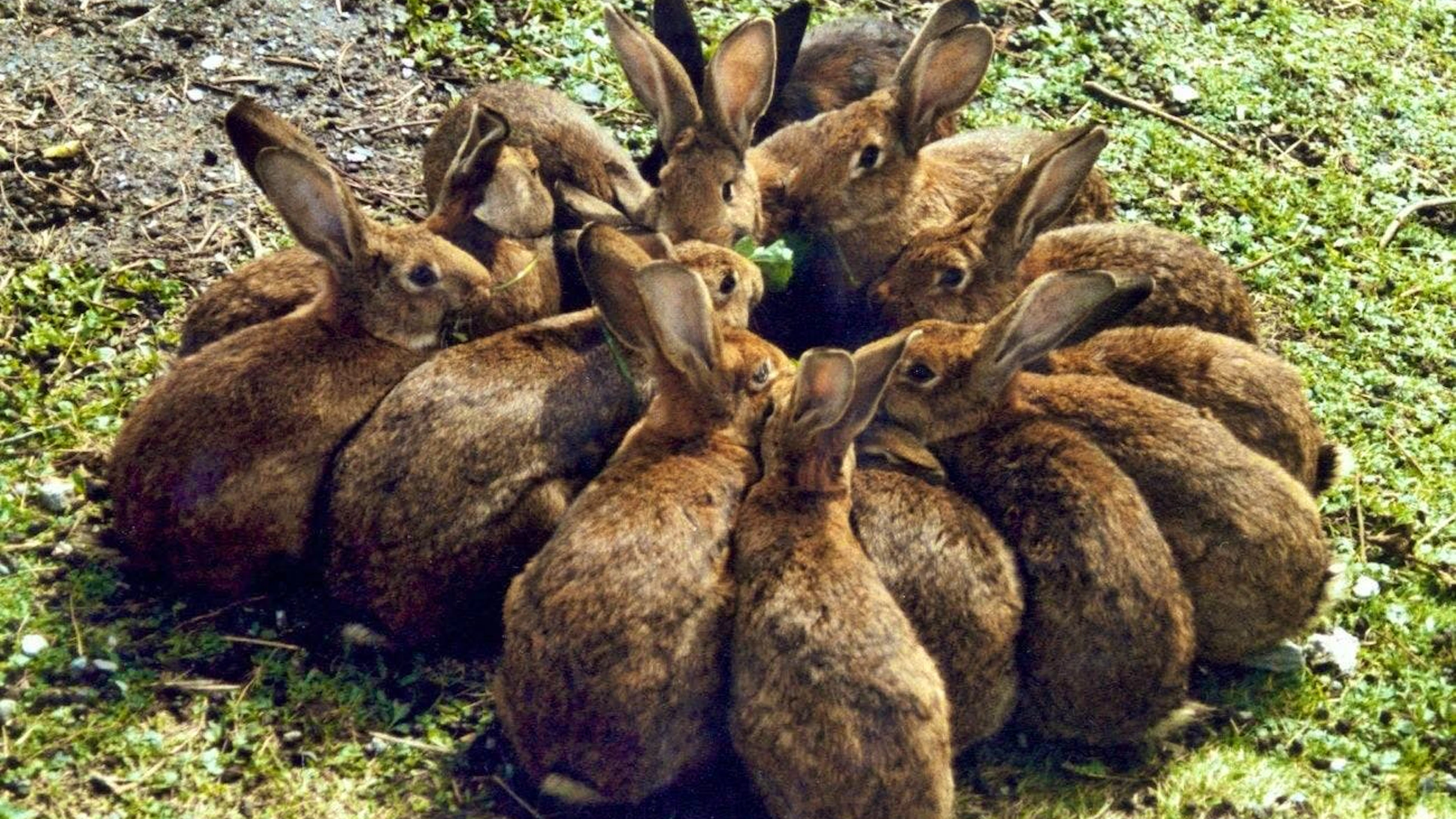 Big gathering before Easter