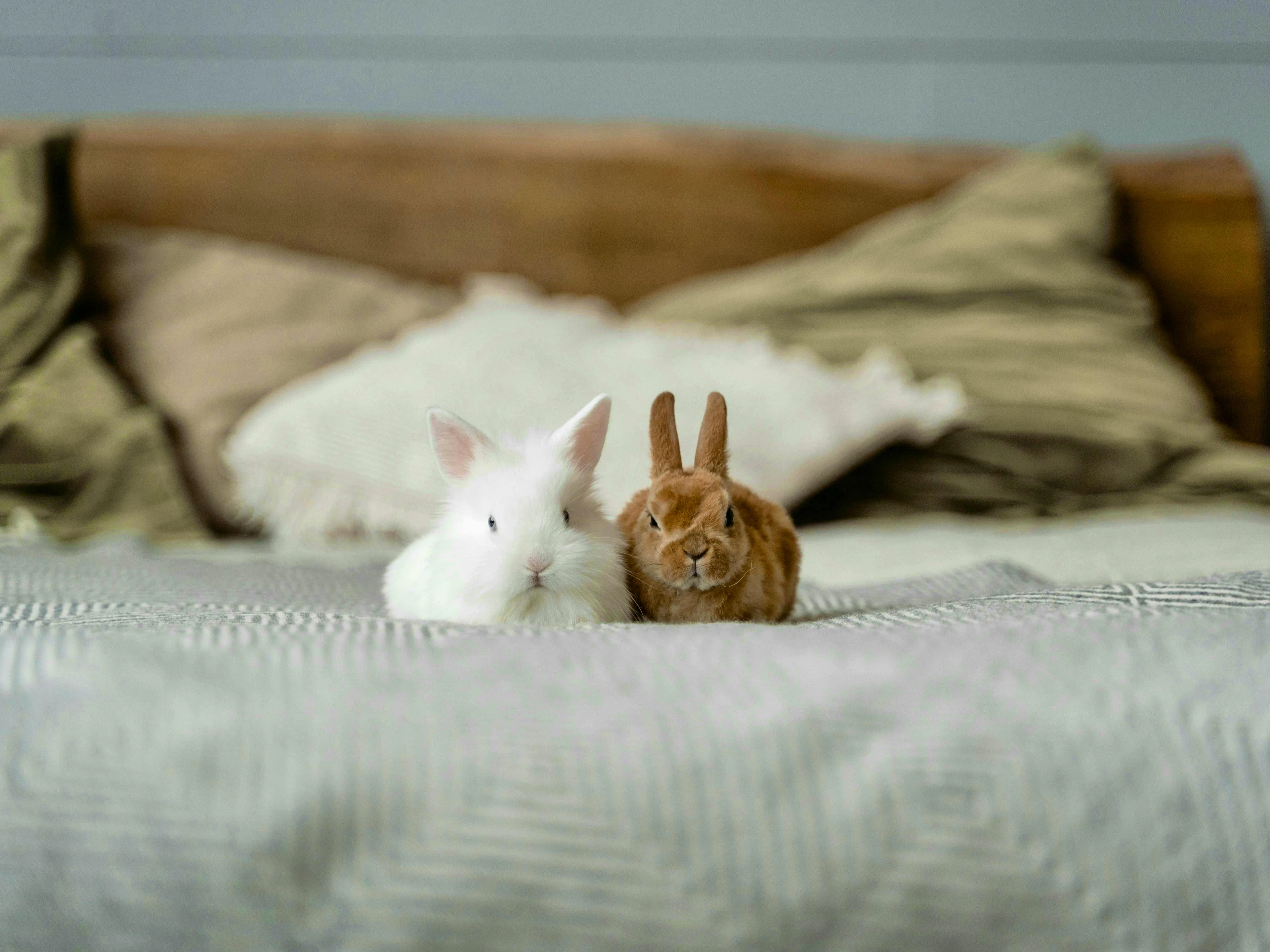 After an exhausting Easter day, it's back to bed ...