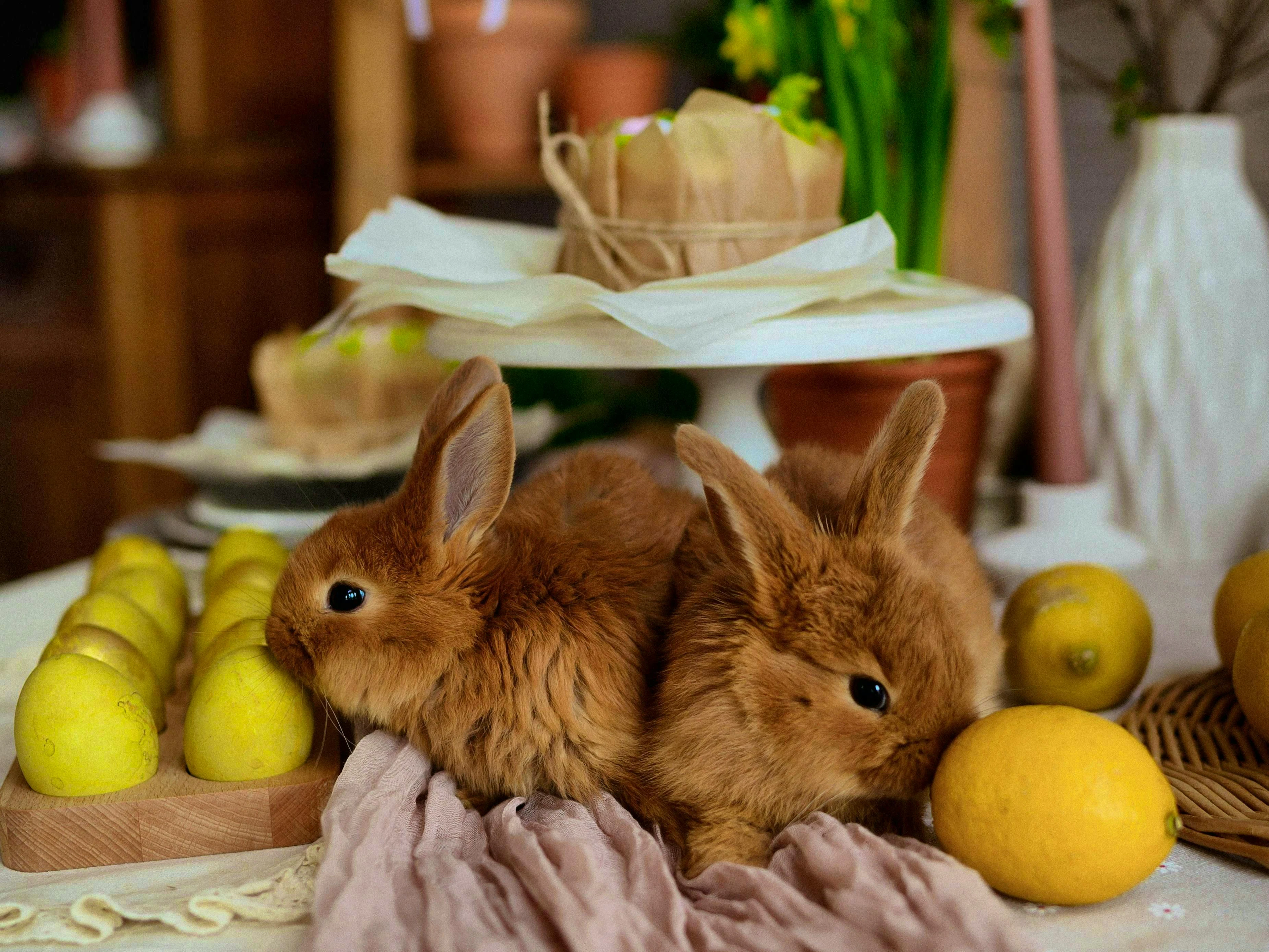 But first they have a little snack ...