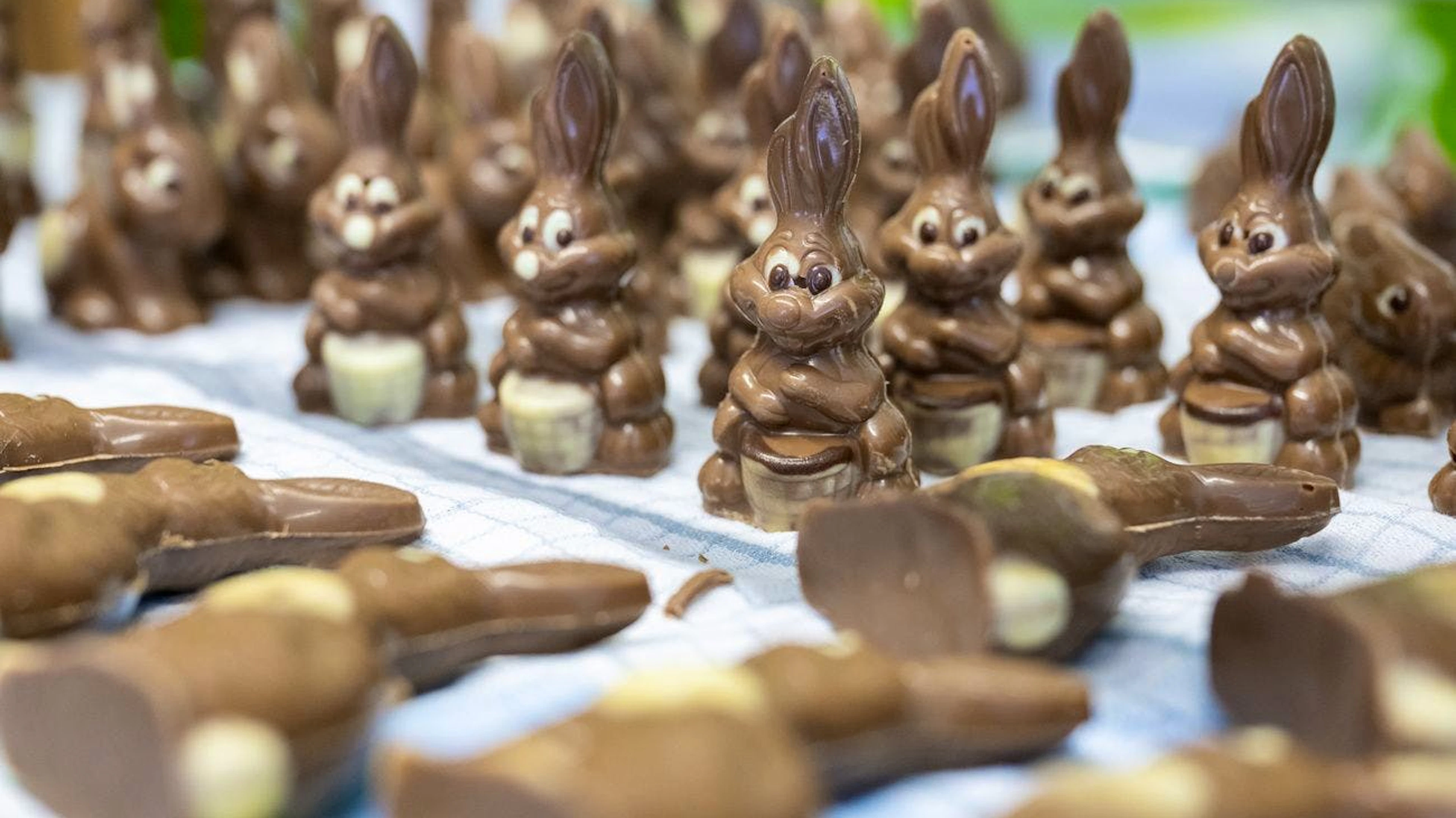 In generale per avere dei coniglietti di cioccolato non bisogna scavare troppo a fondo nelle proprie tasche.