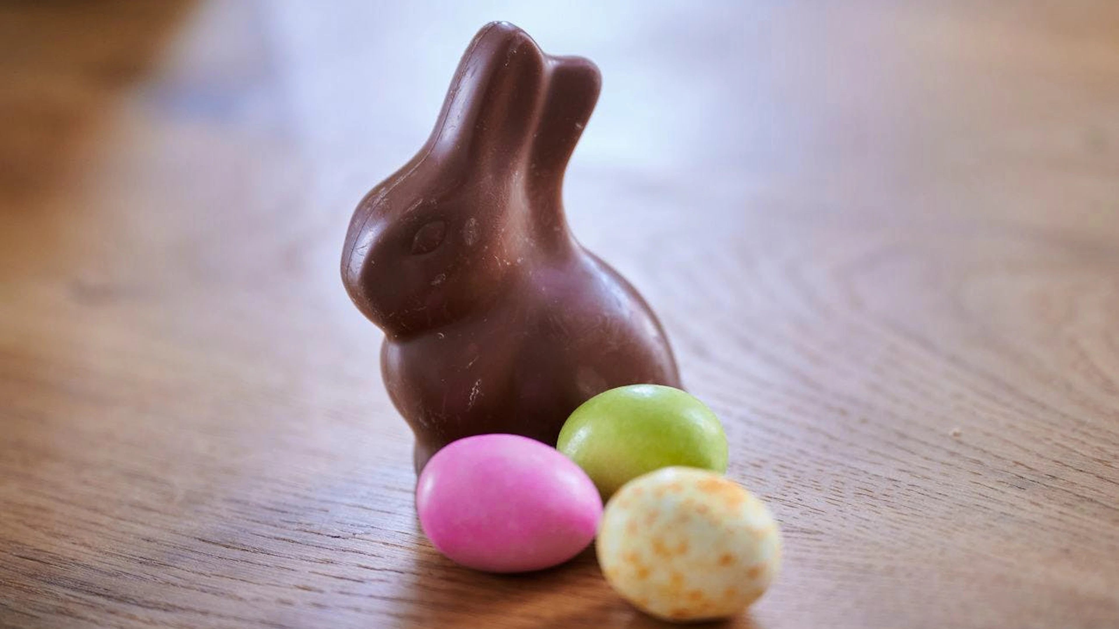 Il coniglietto di cioccolato può anche volare in alto.