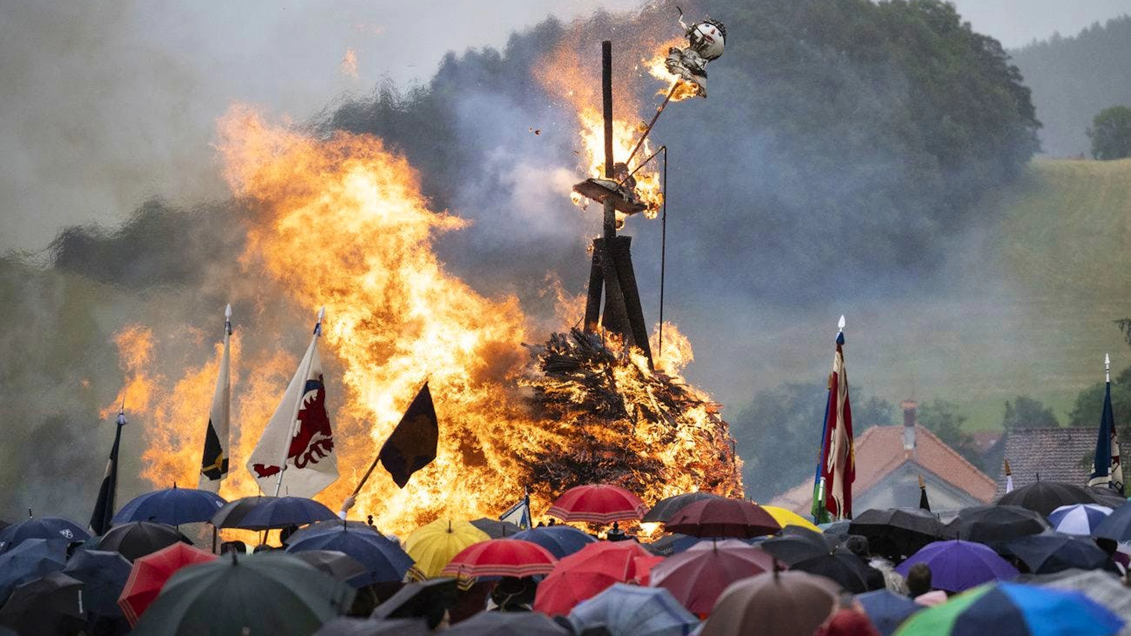 Der Kopf des Bööggs fällt auf der Streulewiese in Heiden,Appenzell Ausserroden ab, aufgenommen am 22. Juni 2024.