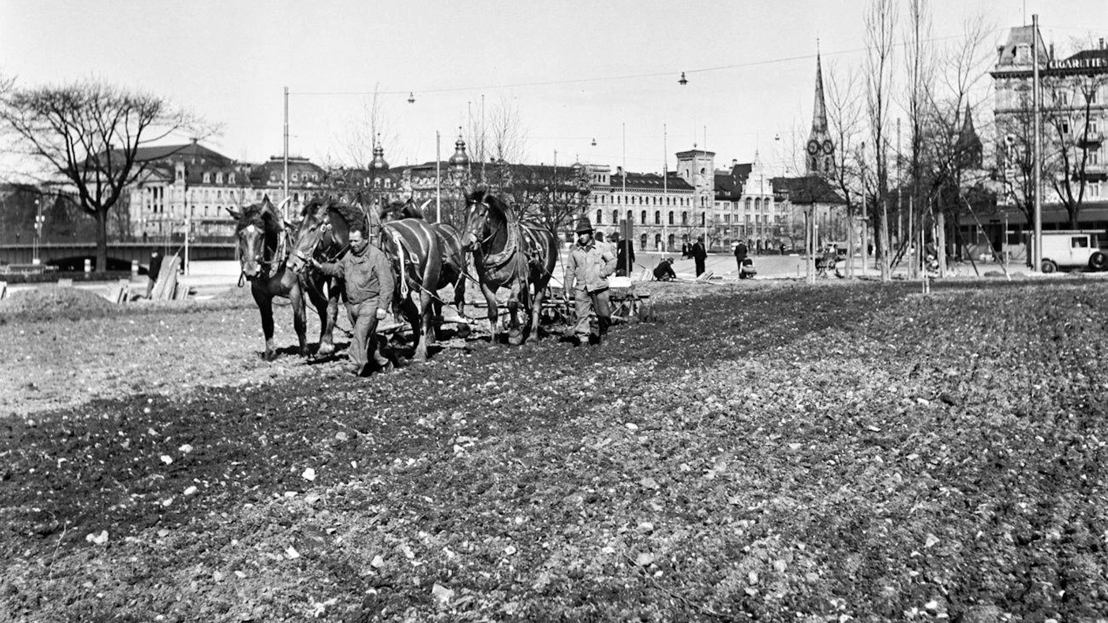 Bauern pflügen den Platz vor der Zürcher Tonhalle. Auch die Sechseläutenwiese wurde im Rahmen der schweizerischen Anbauschlacht während des Zweiten Weltkriegs zum Acker.