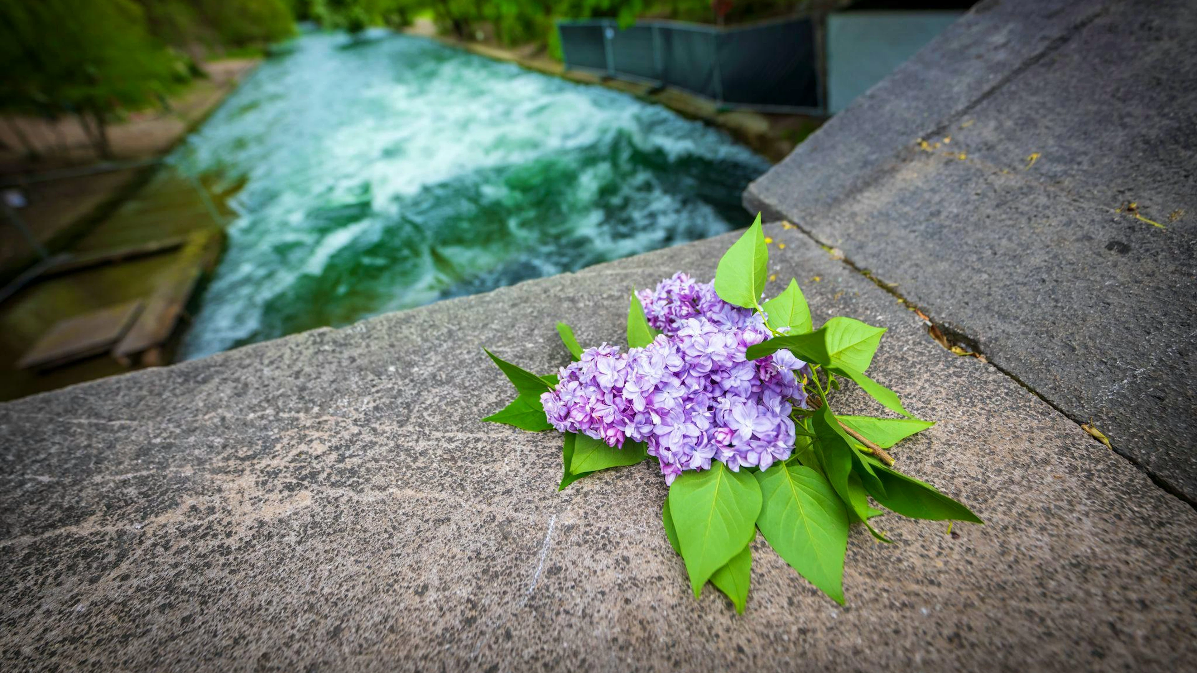 Blumen erinnern an die tödlich verunglückte Surferin. 